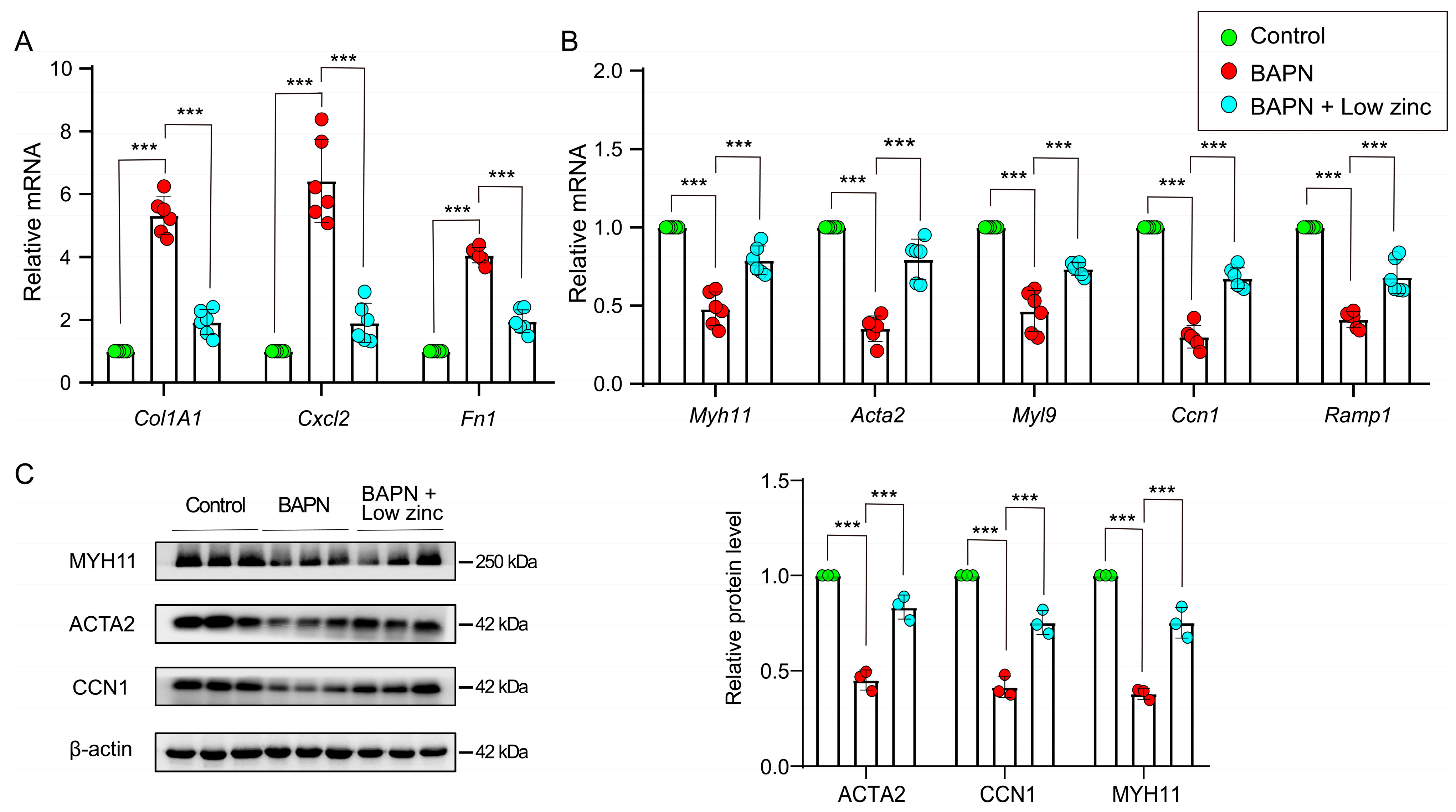 Nutrients 15 01640 g004 Nutrients 15 01640 g004