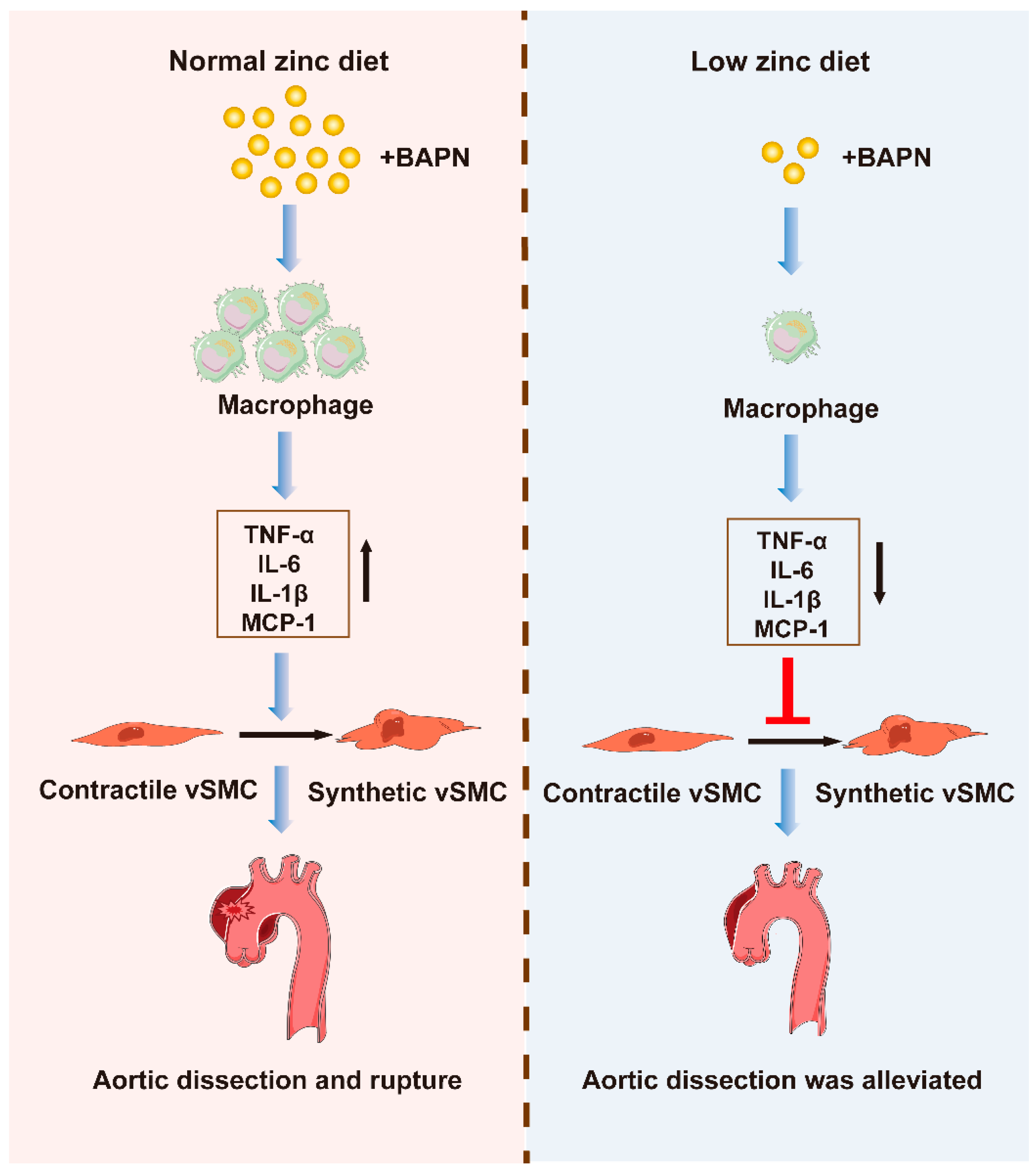 Nutrients 15 01640 g006 Nutrients 15 01640 g006