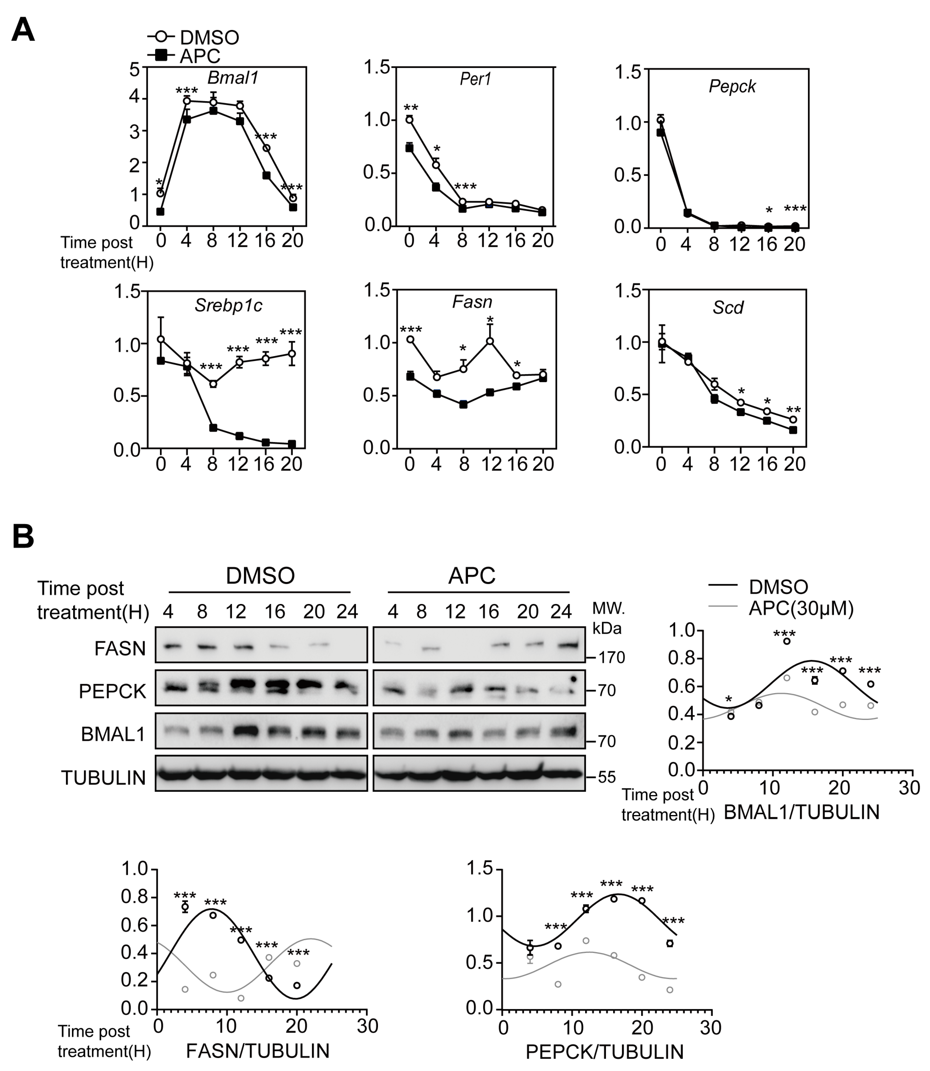 Nutrients 15 01644 g003 Nutrients 15 01644 g003