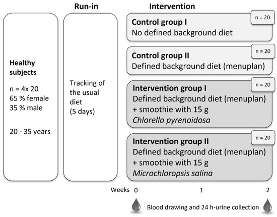 Impact of Regular Intake of Microalgae on Nutrient Supply
