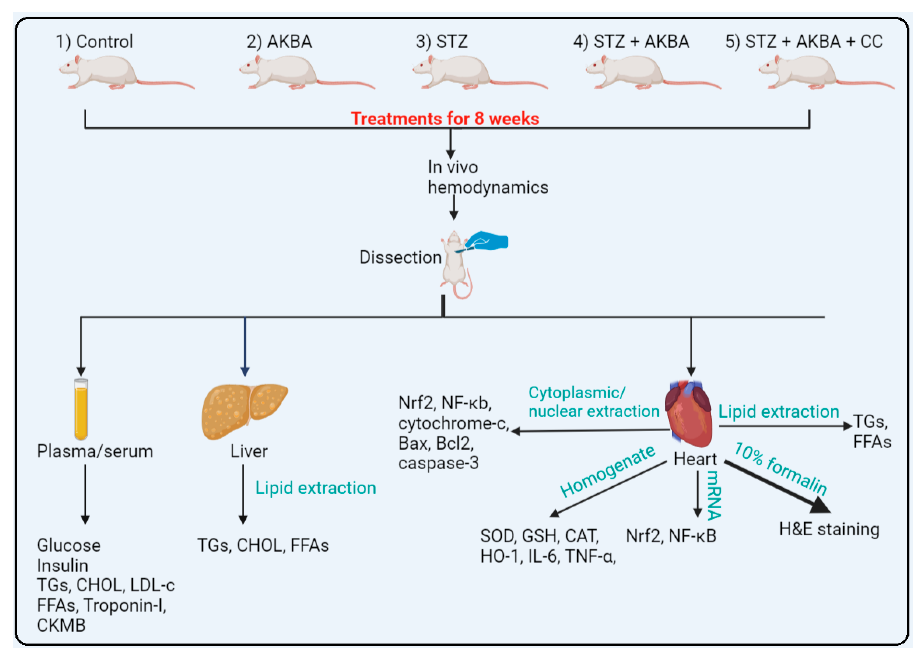 Nutrients 15 01660 g001 Nutrients 15 01660 g001