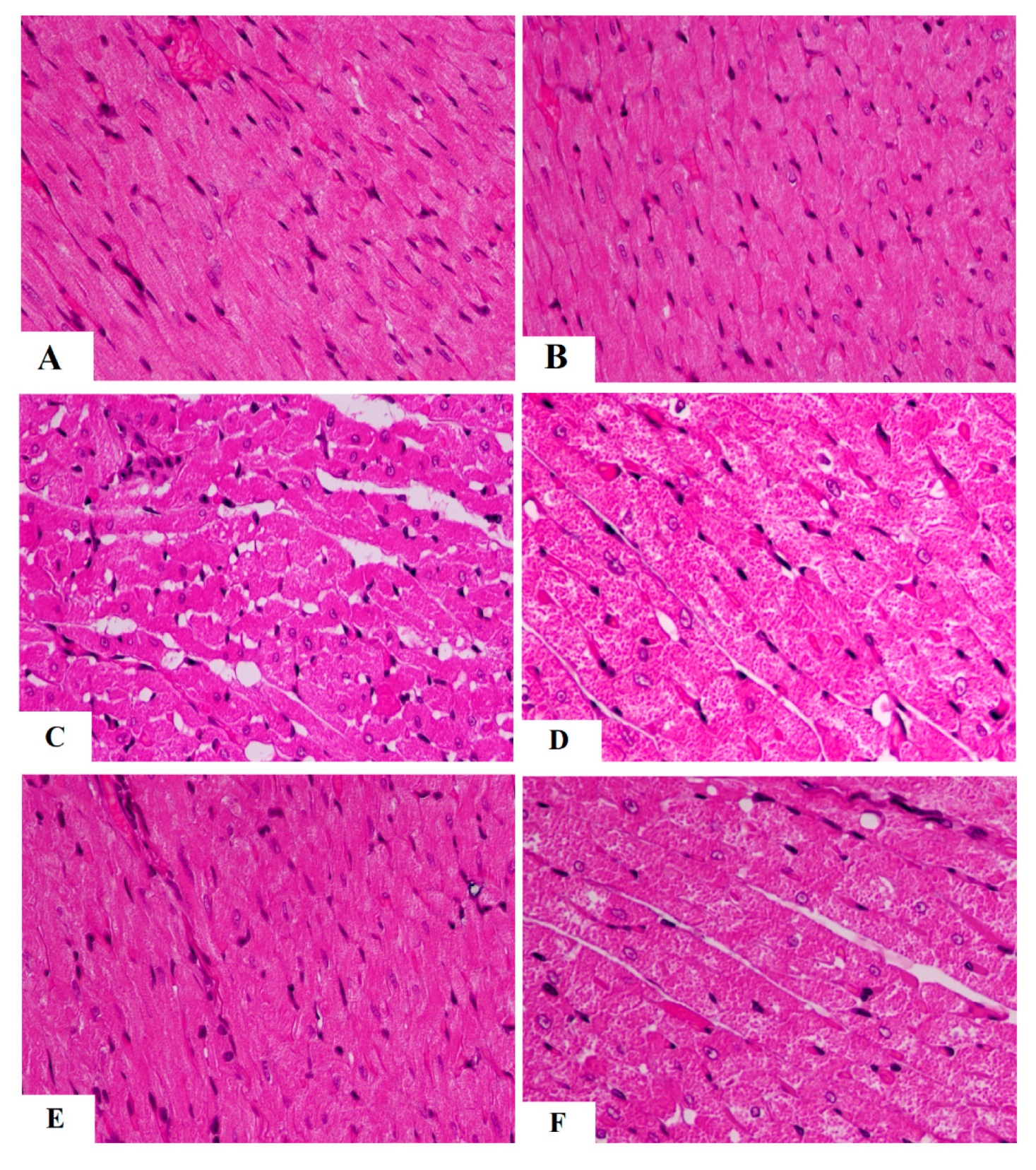 Nutrients 15 01660 g004 Nutrients 15 01660 g004
