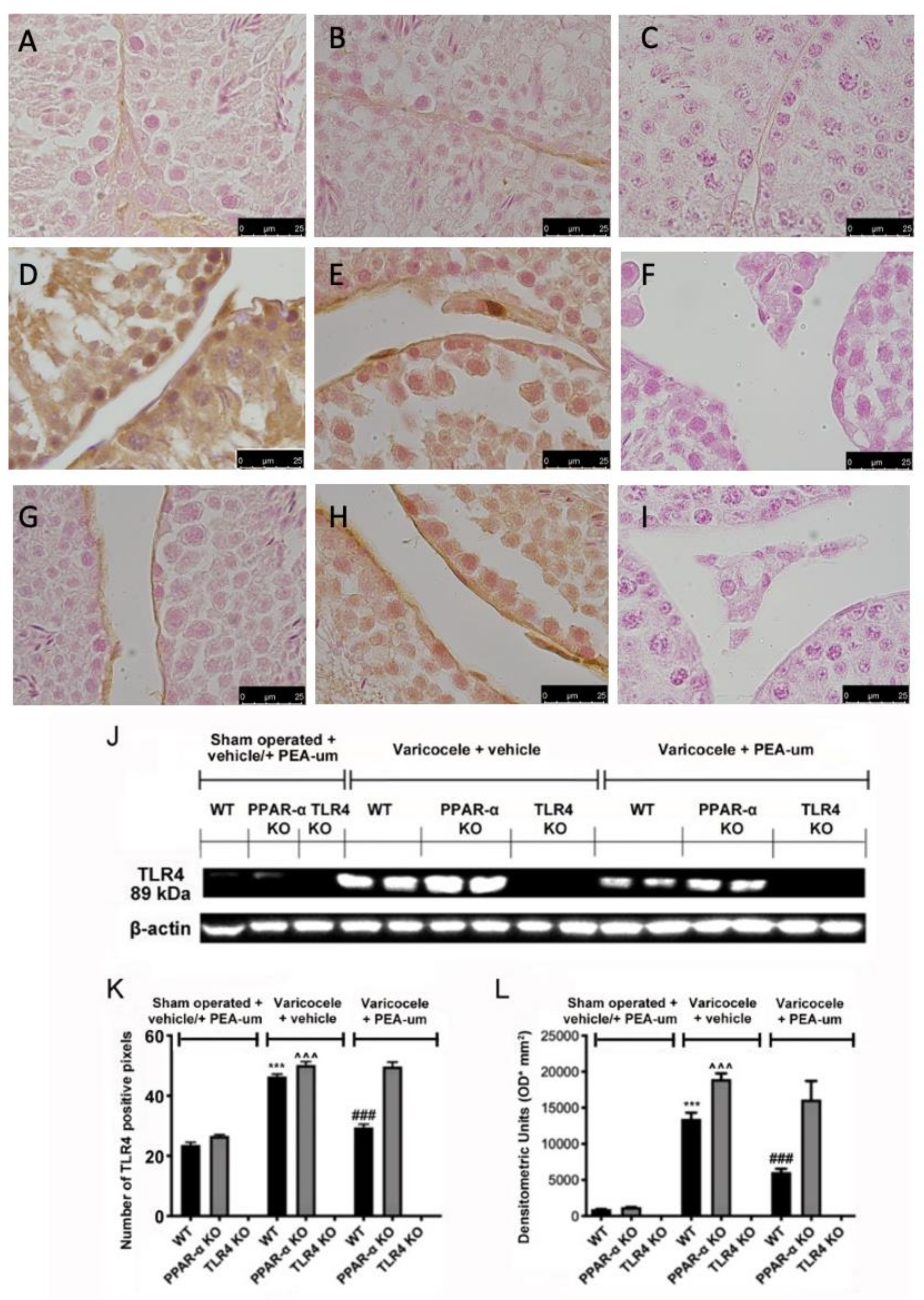 Nutrients 15 01662 g003
