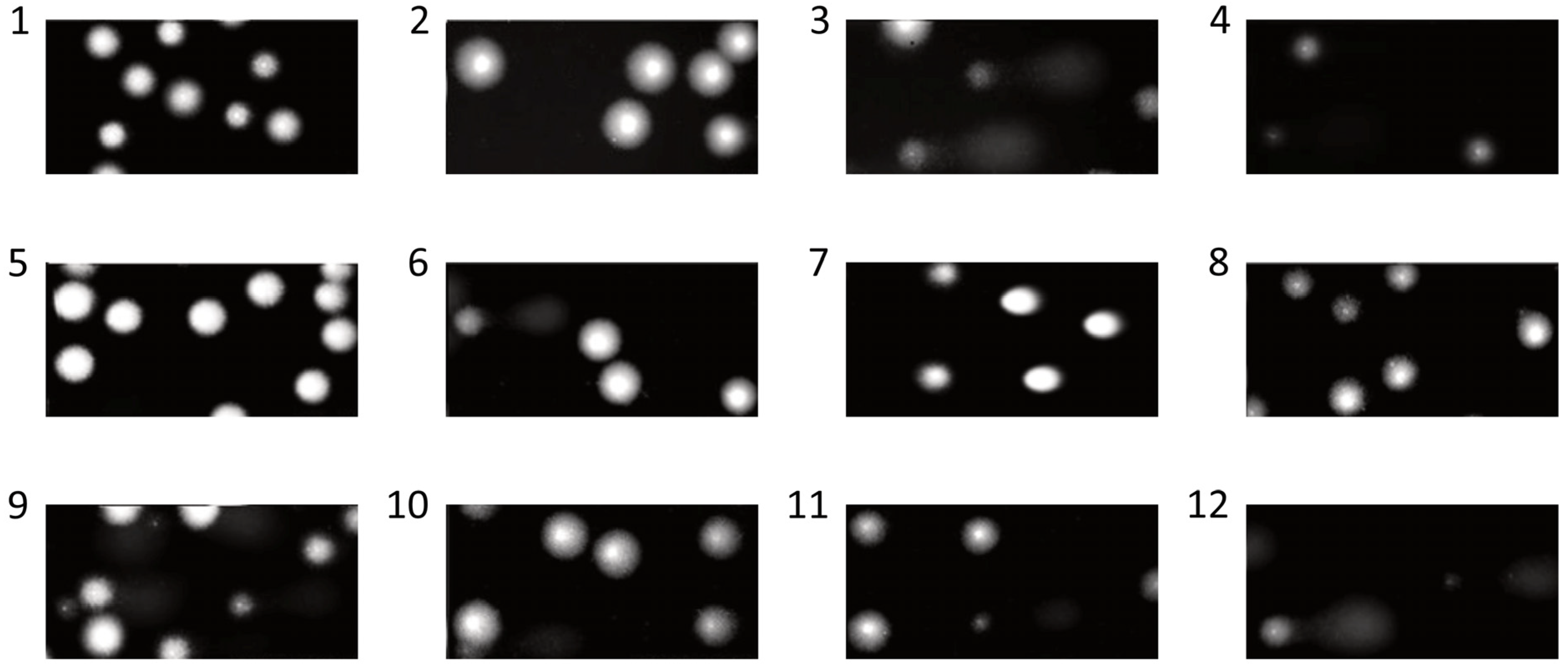 Nutrients 15 01671 g004