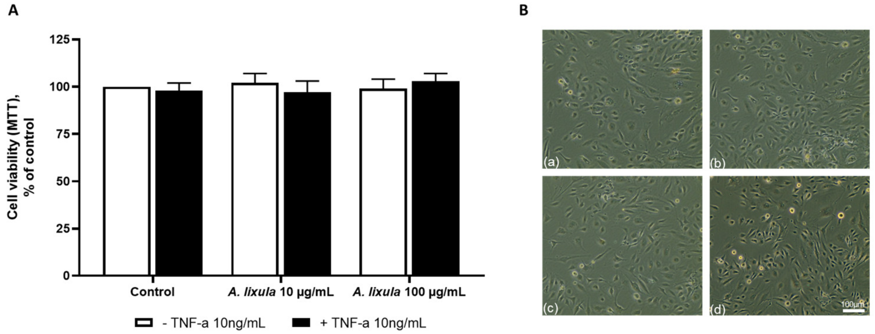 Nutrients 15 01672 g001 Nutrients 15 01672 g001