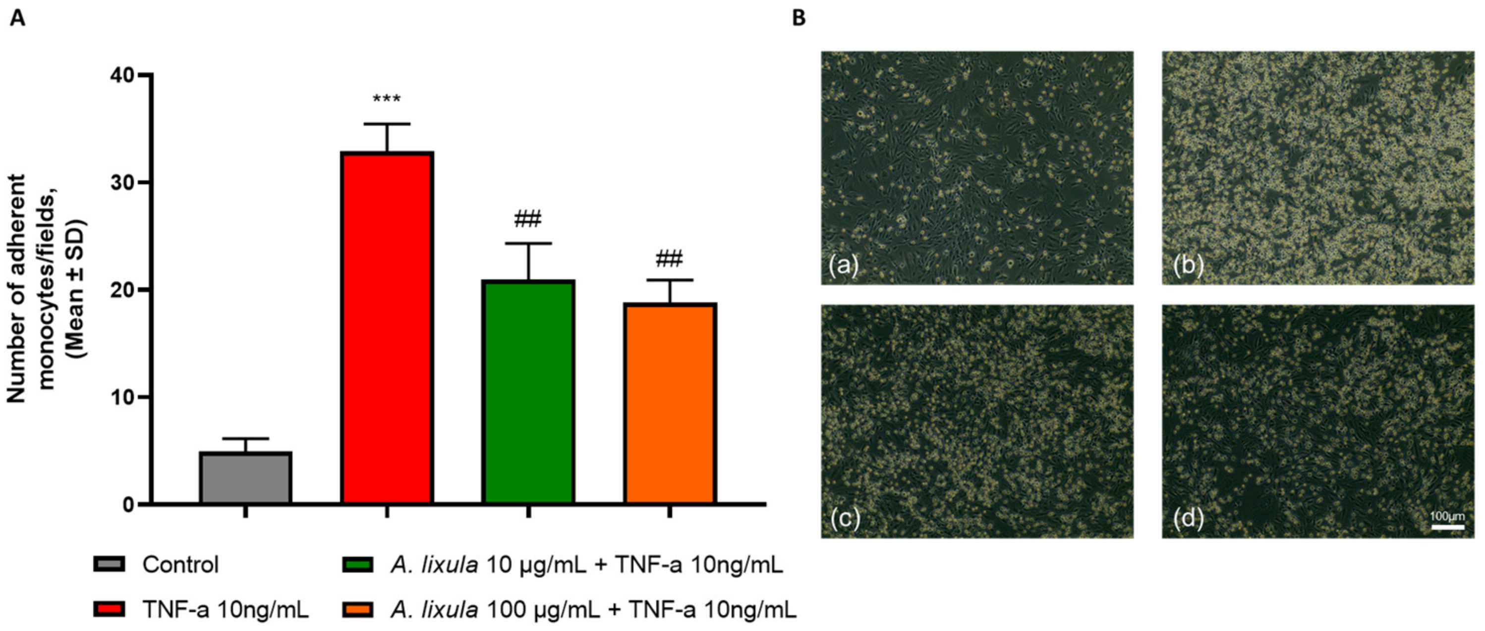 Nutrients 15 01672 g002 Nutrients 15 01672 g002