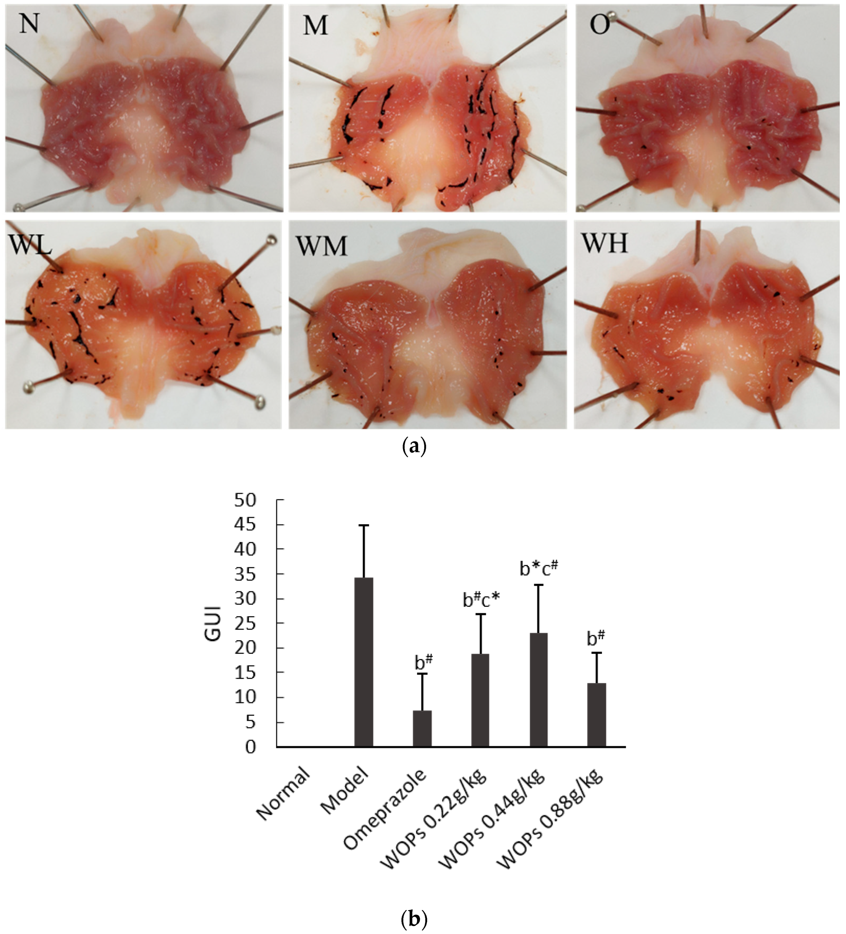 Nutrients 15 01675 g001 Nutrients 15 01675 g001