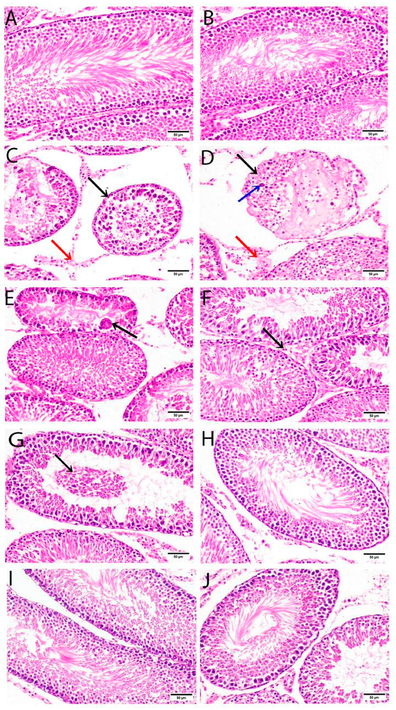 Nutrients 15 01693 g001 Nutrients 15 01693 g001