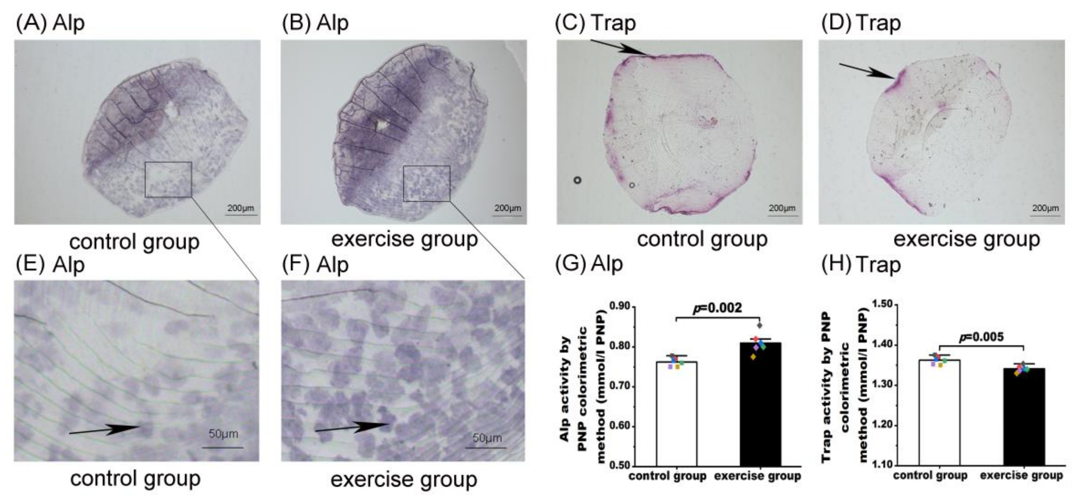 Nutrients 15 01694 g003