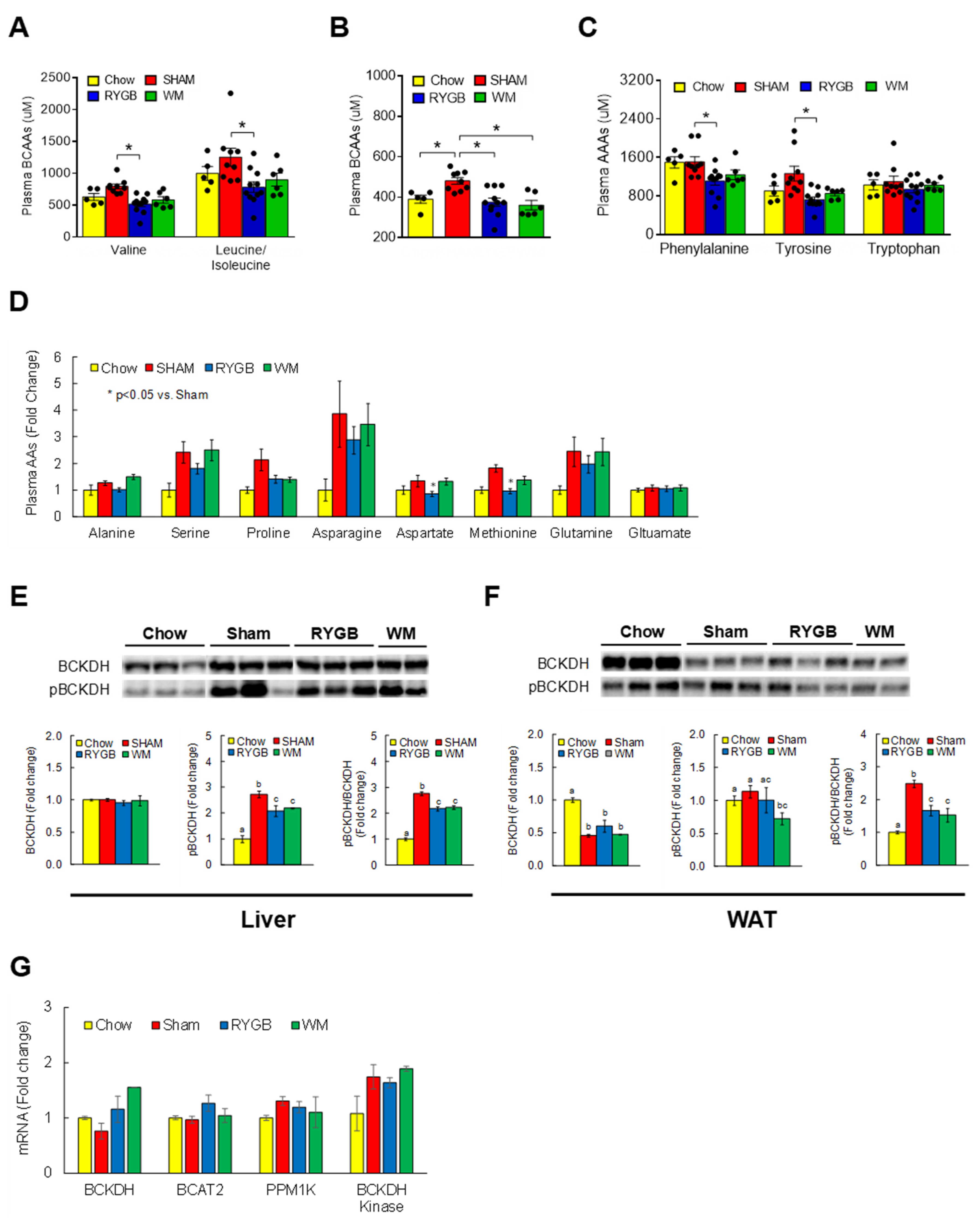 Nutrients 15 01713 g001
