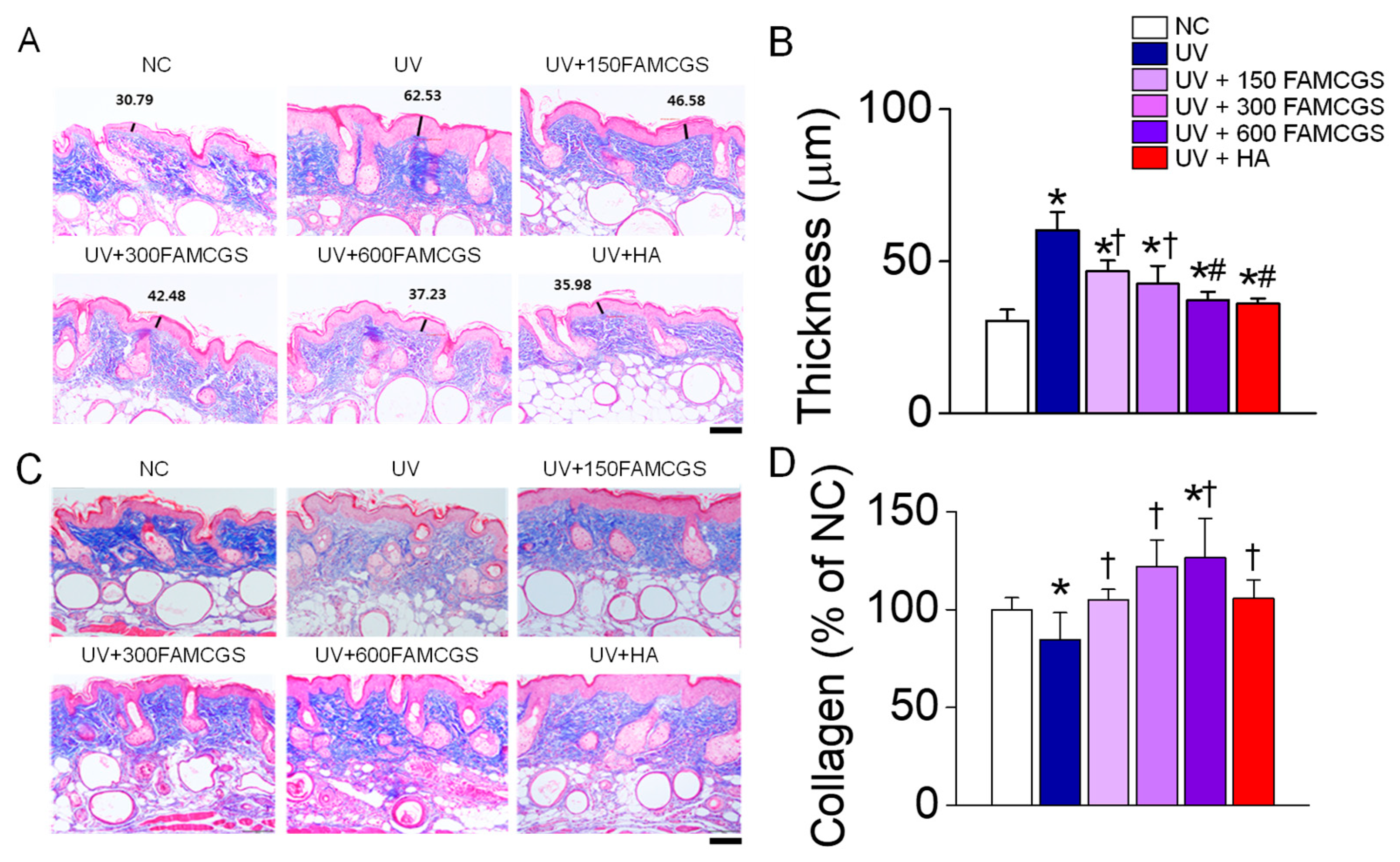 Nutrients 15 01715 g004 Nutrients 15 01715 g004
