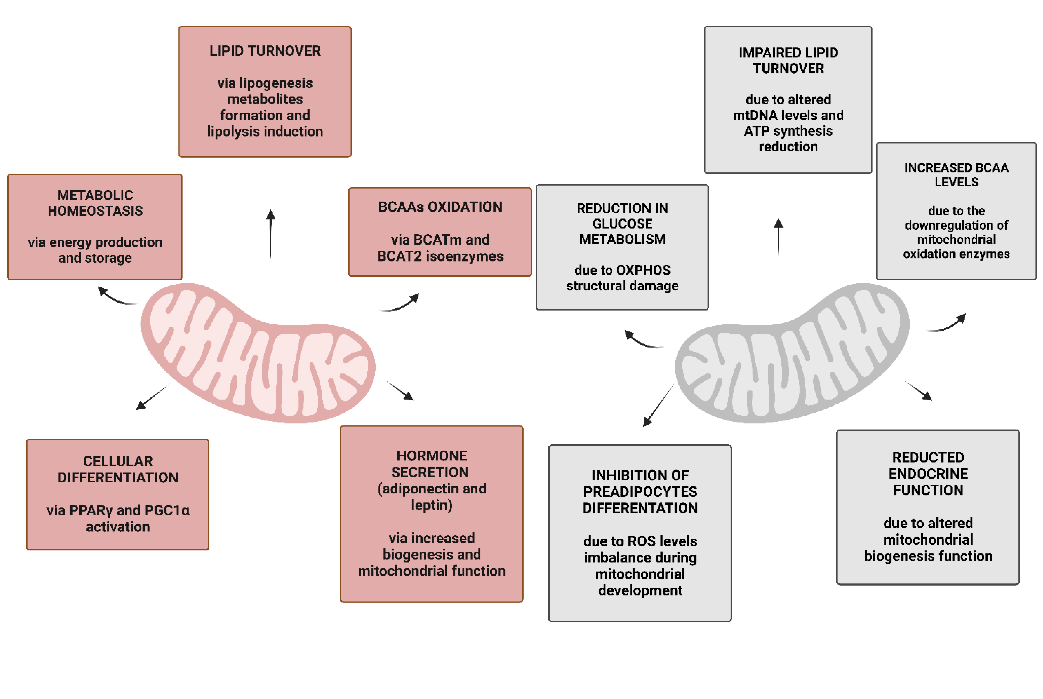 Nutrients 15 01723 g002 Nutrients 15 01723 g002