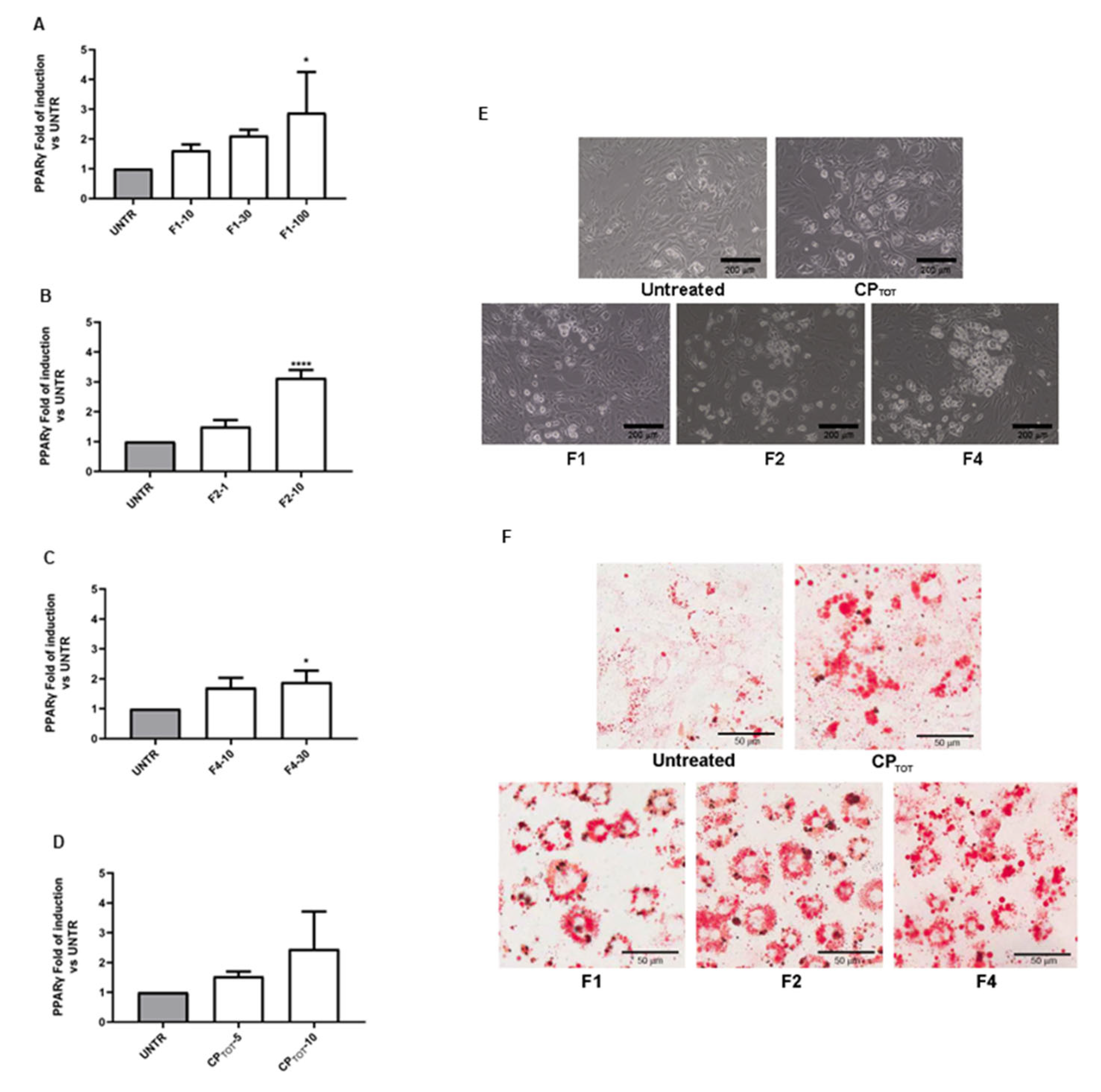 Nutrients 15 01727 g002 Nutrients 15 01727 g002