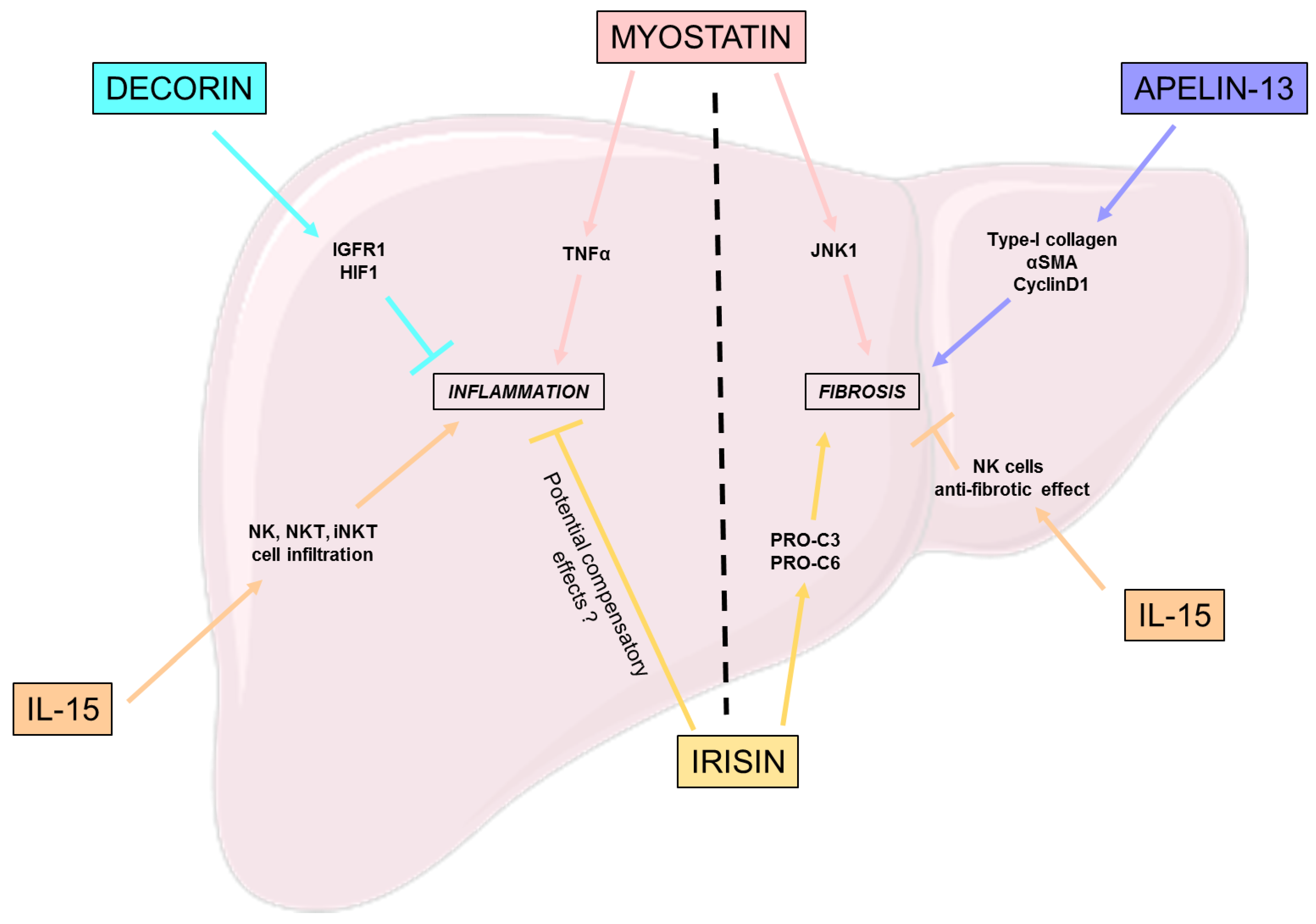 Nutrients 15 01729 g003 Nutrients 15 01729 g003