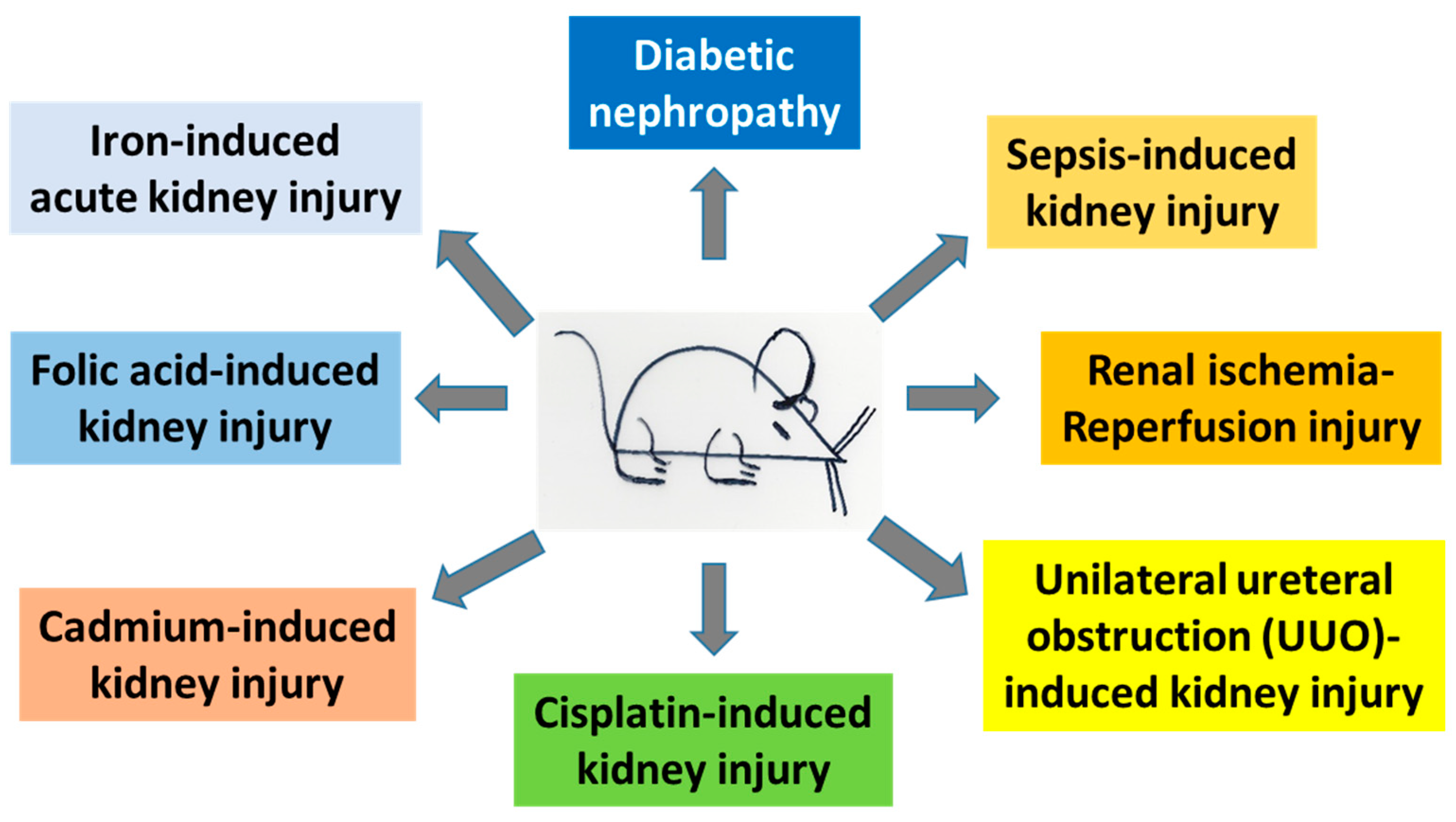 nutrients-free-full-text-renal-protective-roles-of-lipoic-acid-in