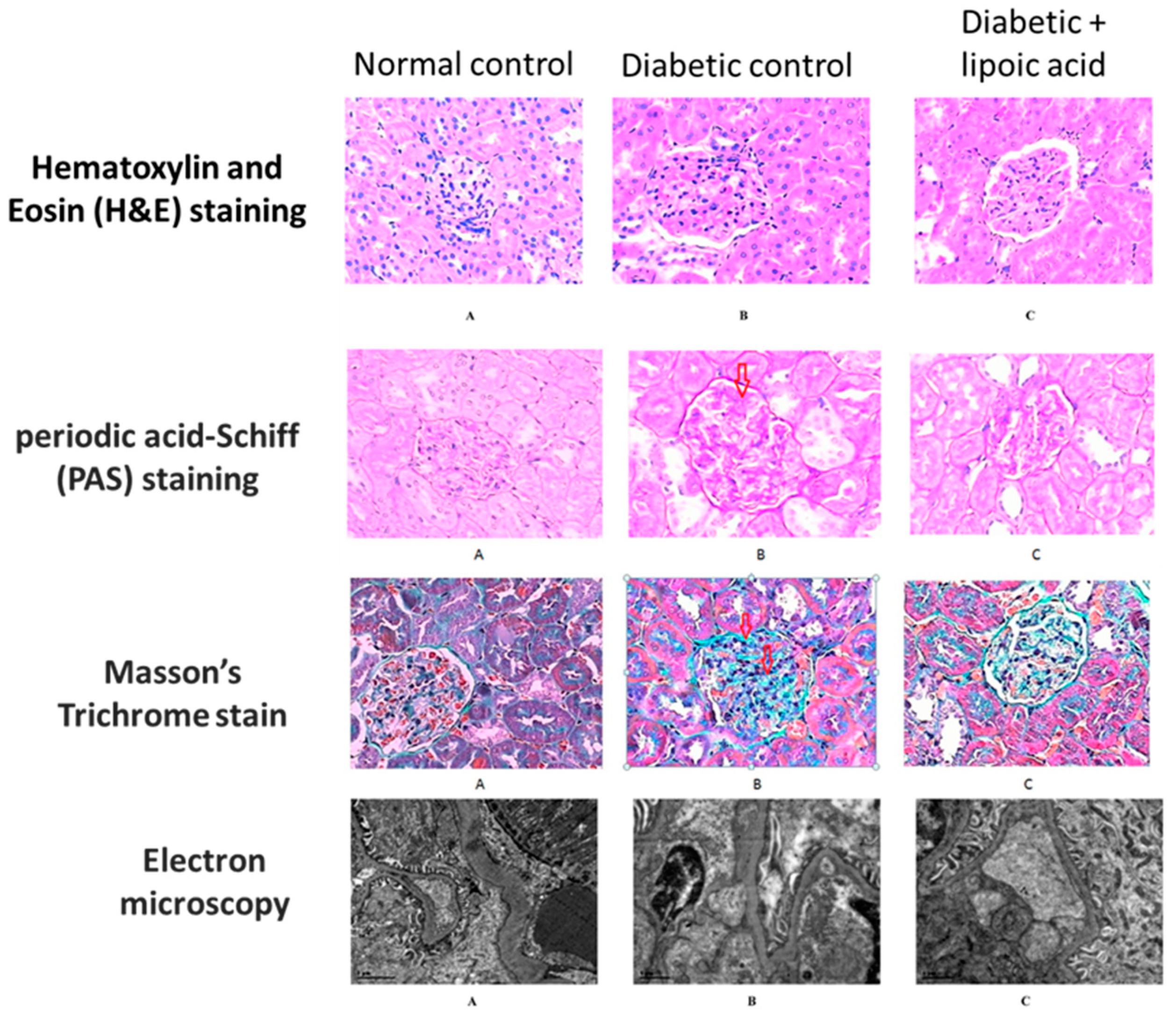 Nutrients 15 01732 g005 Nutrients 15 01732 g005