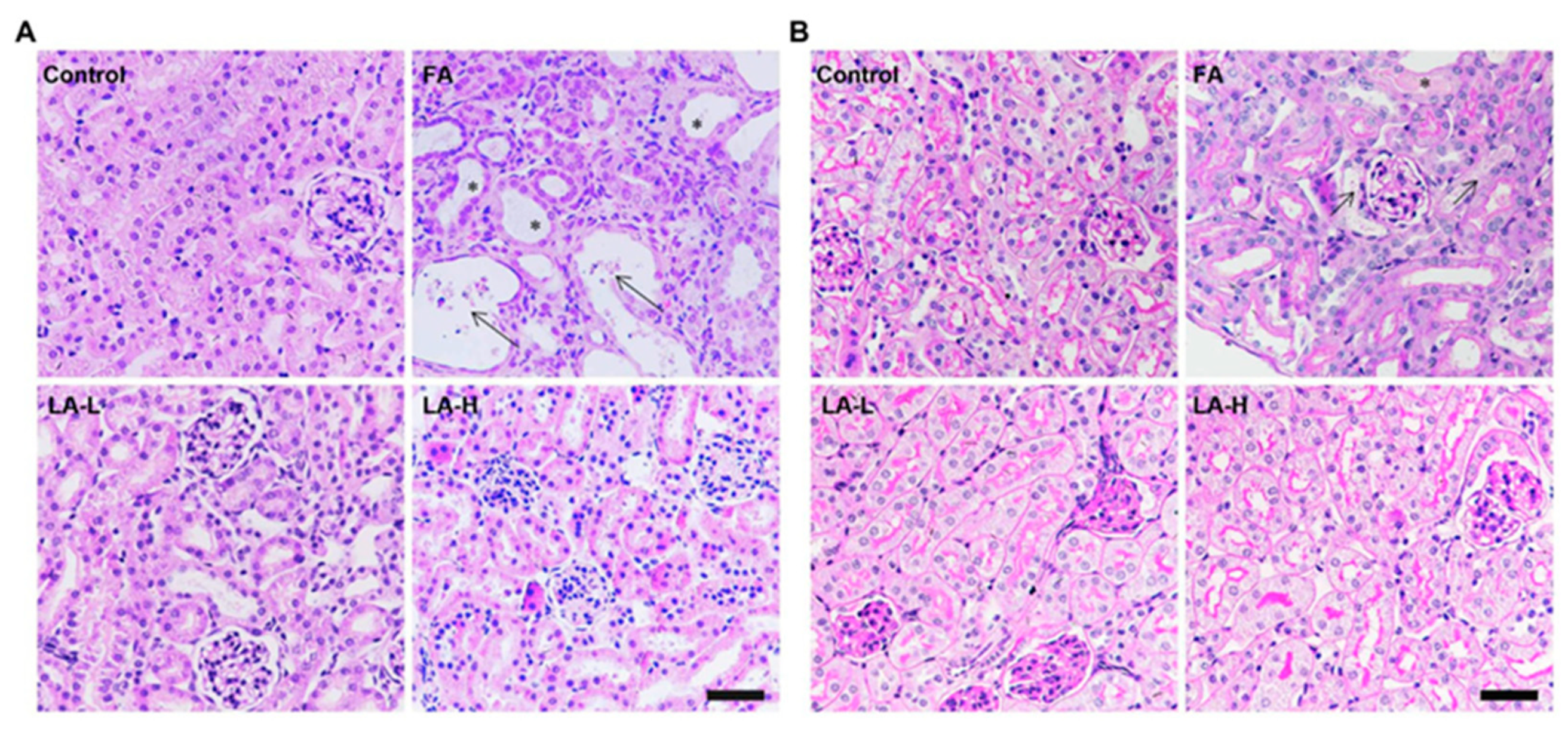 Nutrients 15 01732 g006 Nutrients 15 01732 g006