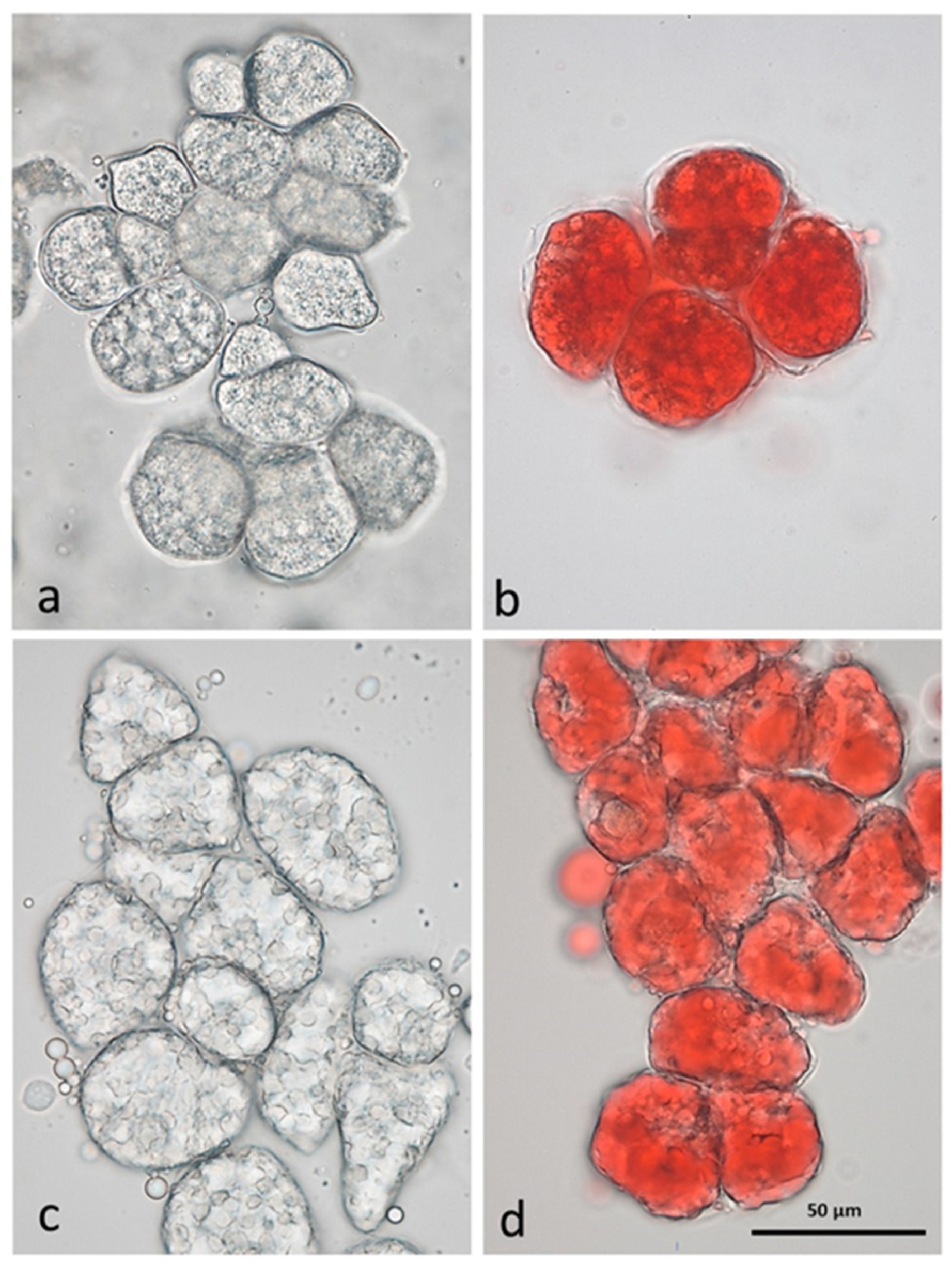 Nutrients 15 01733 g001 Nutrients 15 01733 g001