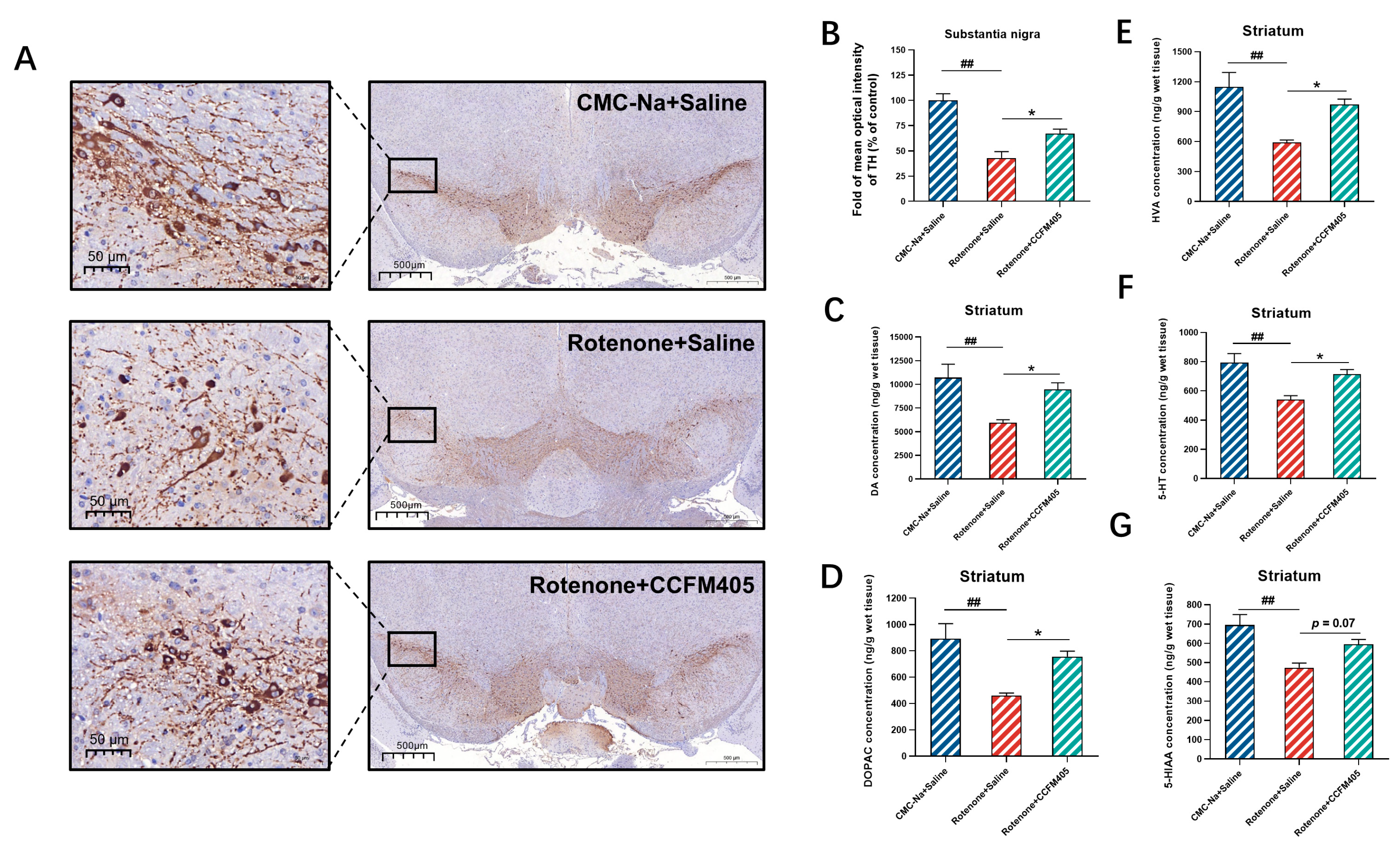 Nutrients 15 01737 g003 Nutrients 15 01737 g003