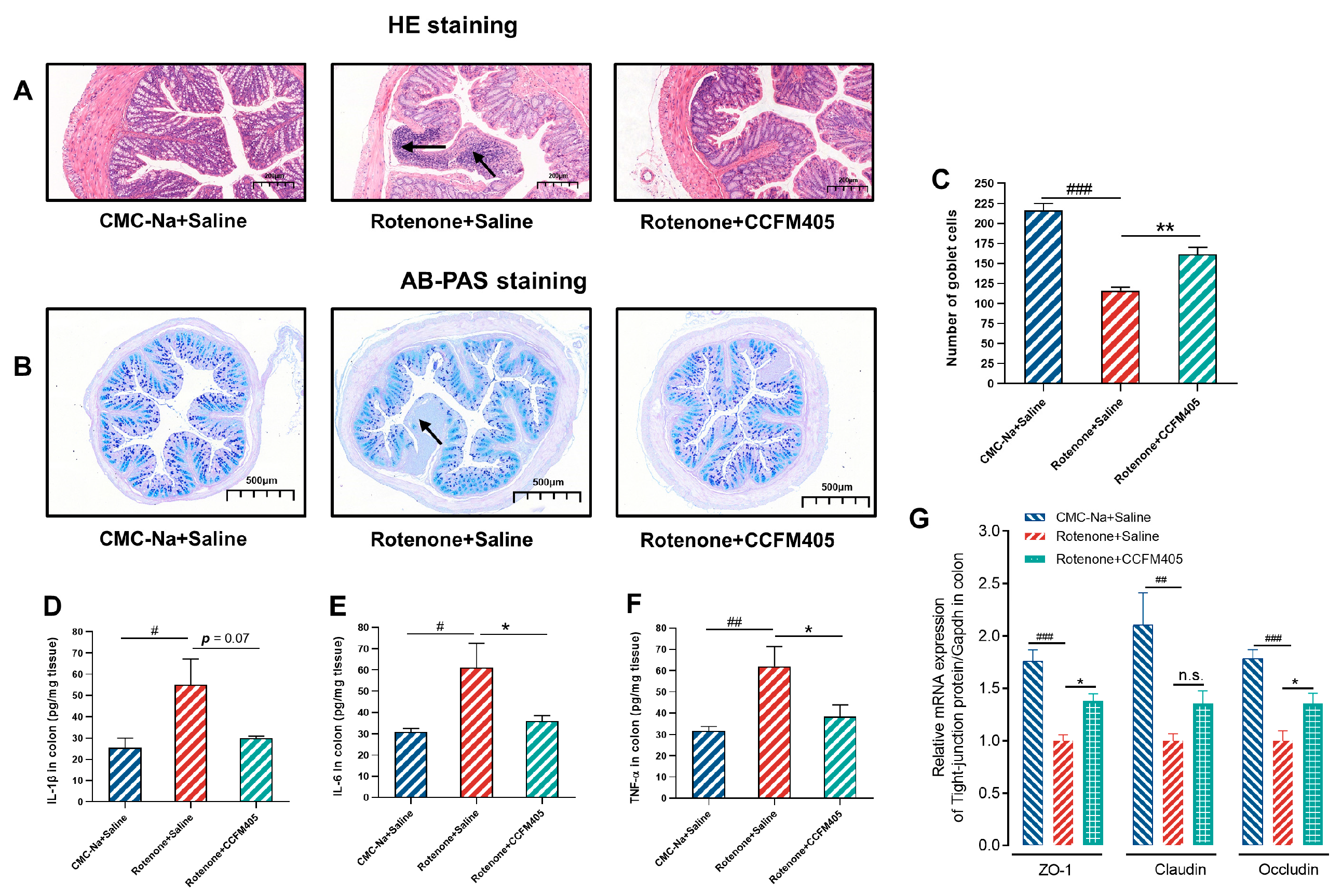 Nutrients 15 01737 g005 Nutrients 15 01737 g005