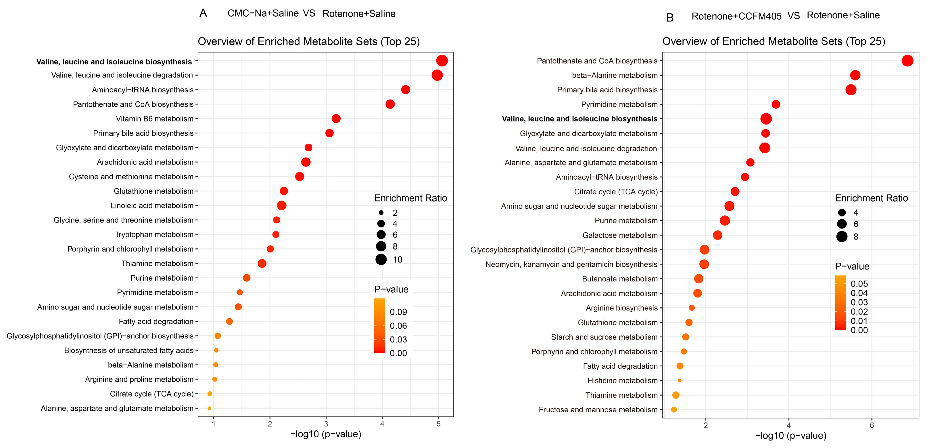 Nutrients 15 01737 g012 Nutrients 15 01737 g012