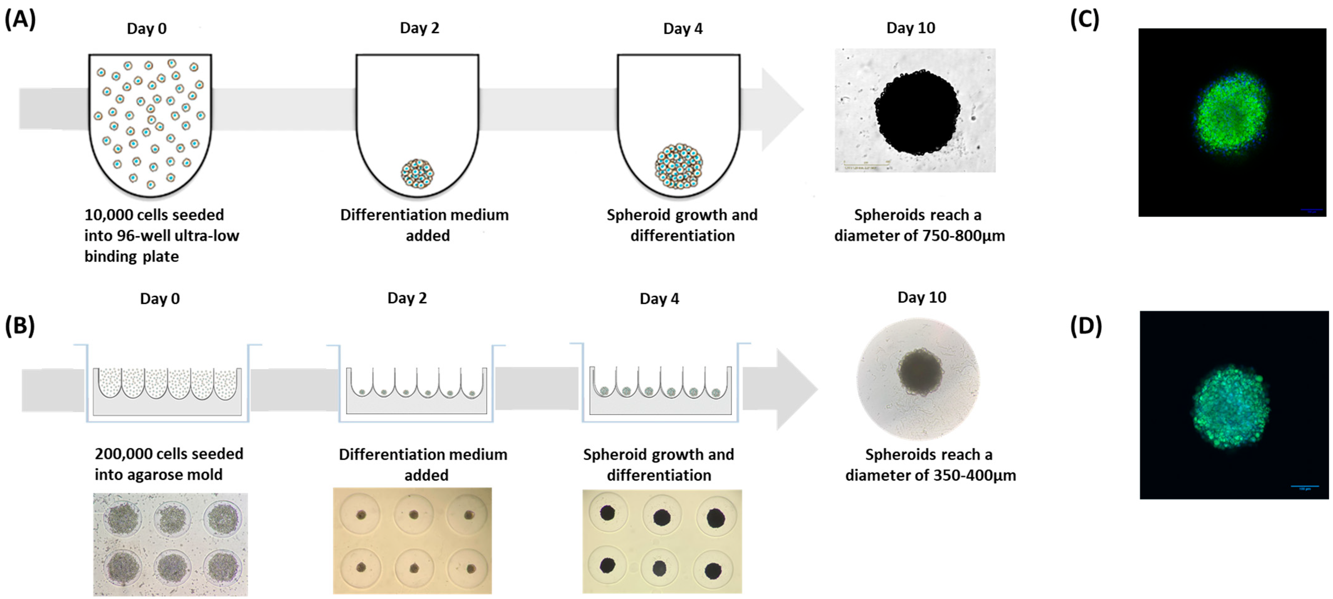 Nutrients 15 01751 g005 Nutrients 15 01751 g005