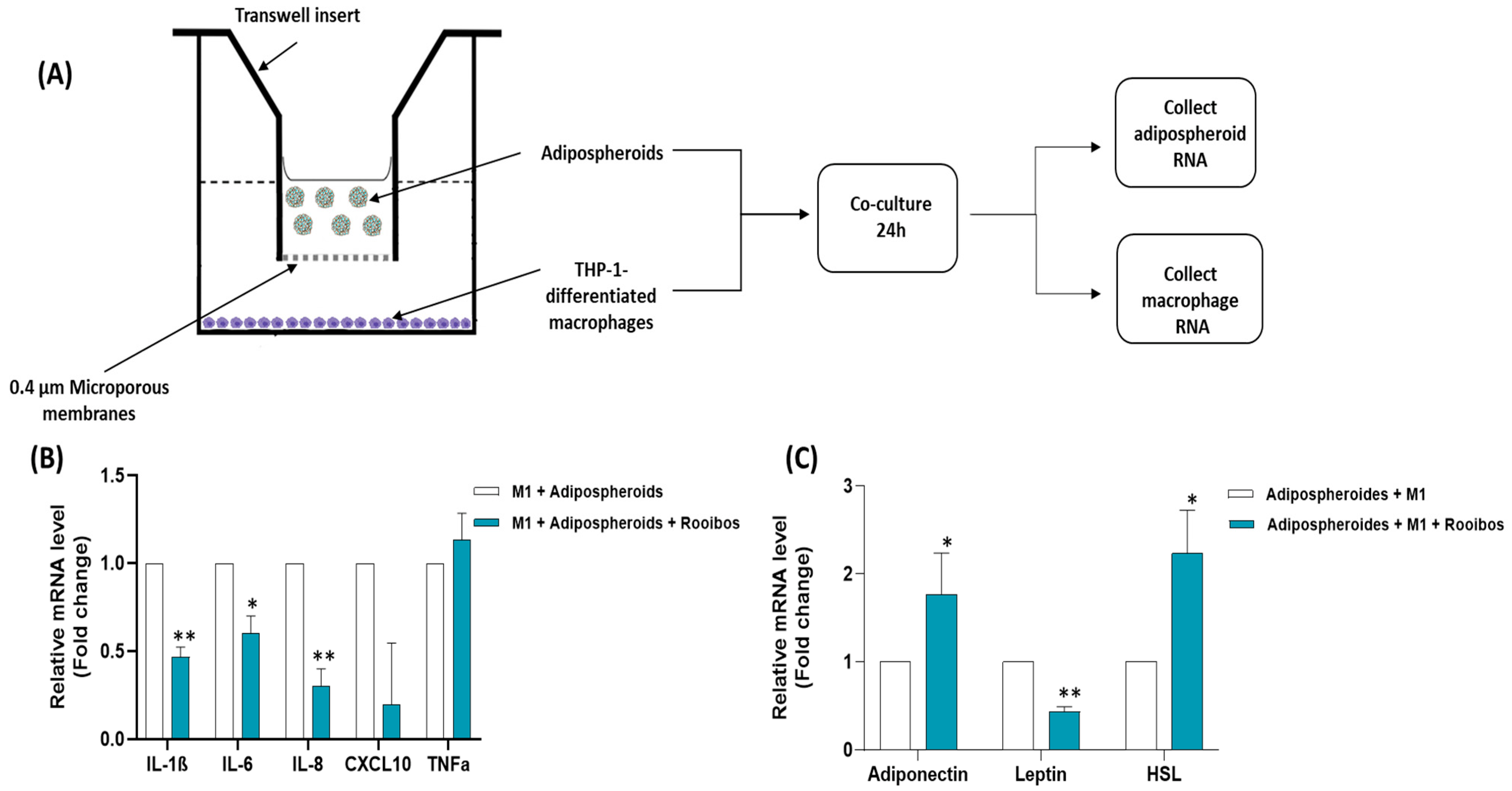 Nutrients 15 01751 g007 Nutrients 15 01751 g007