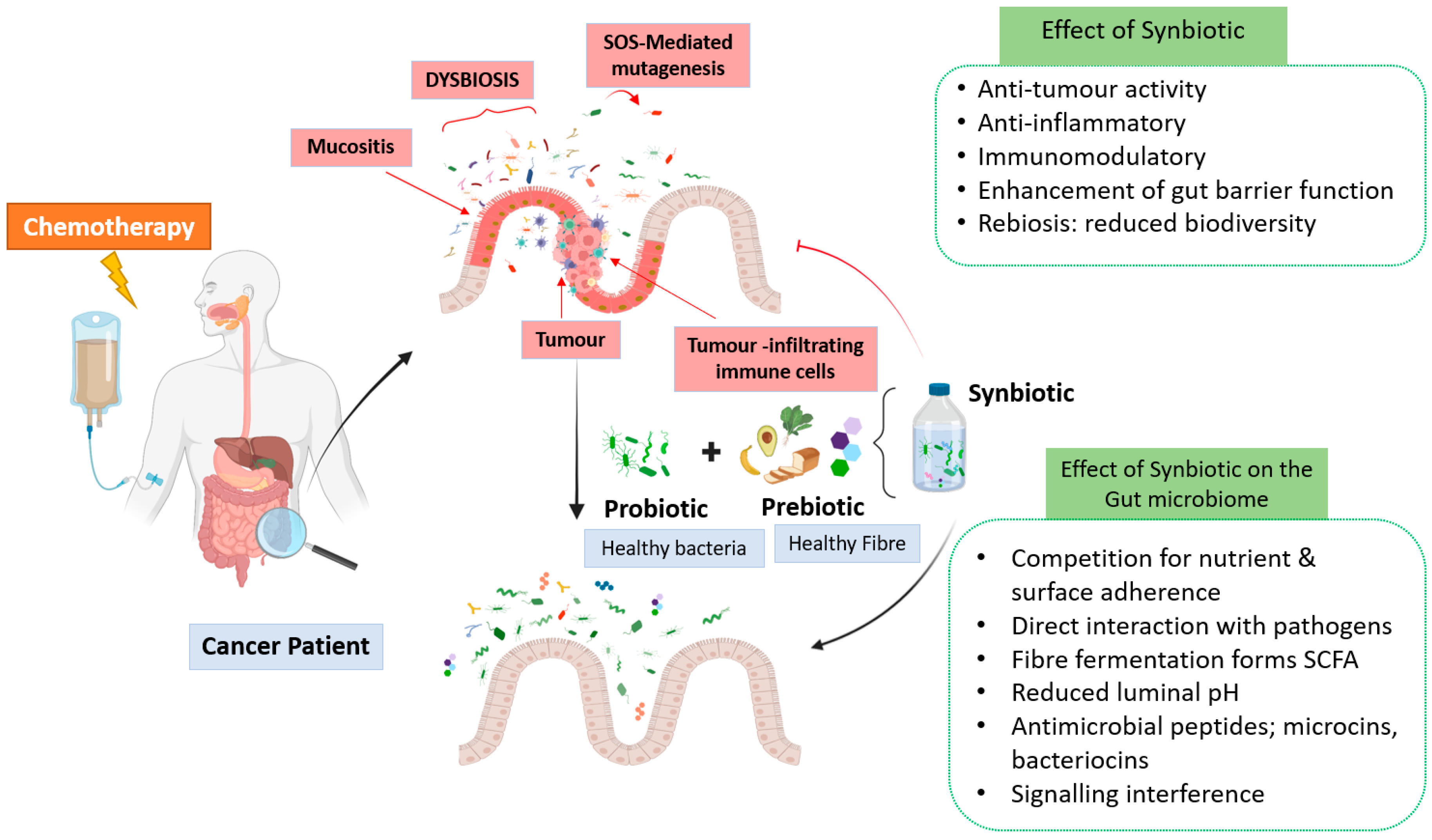 Nutrients 15 01759 g001 Nutrients 15 01759 g001