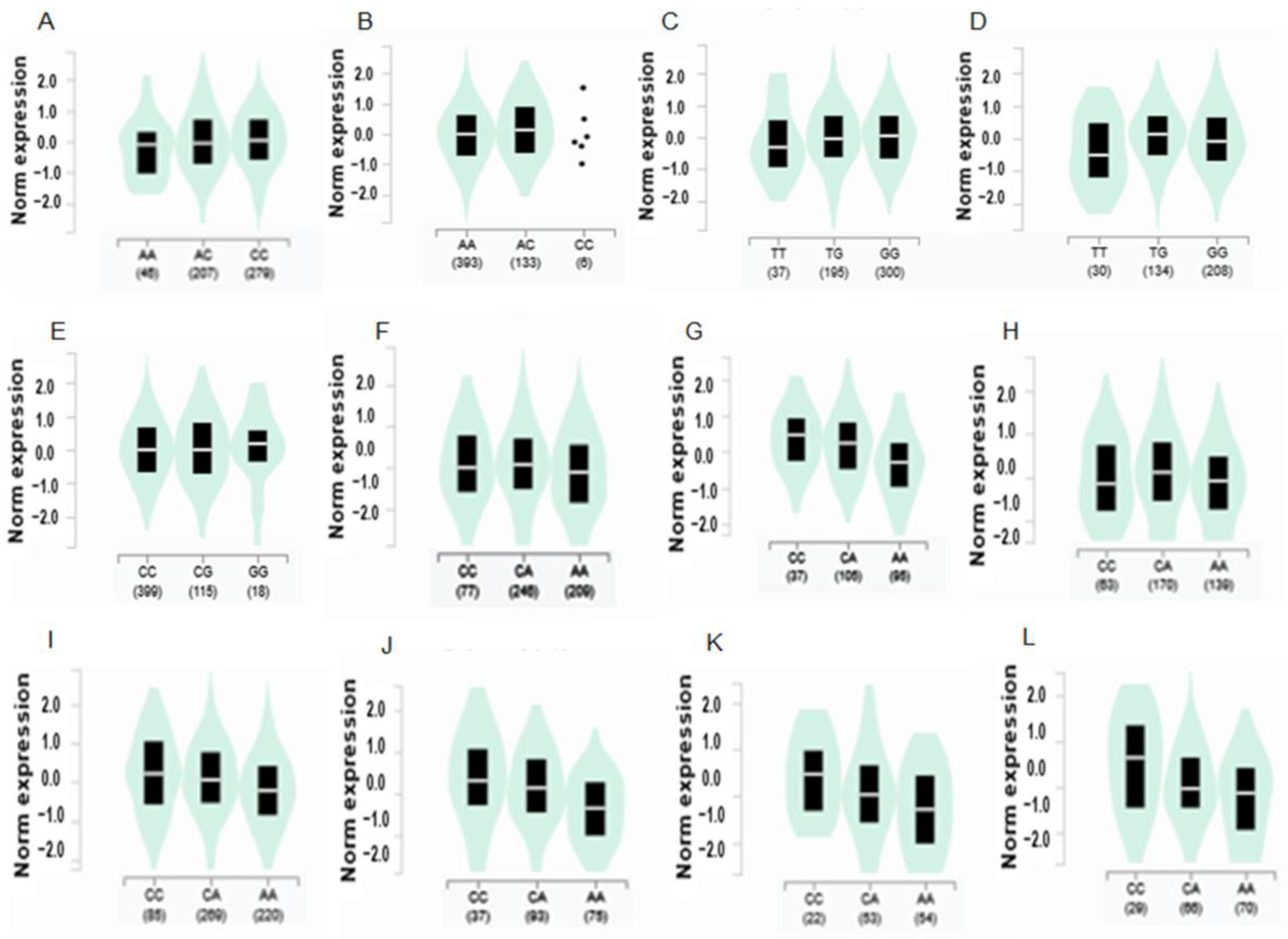 Nutrients 15 01764 g003 Nutrients 15 01764 g003