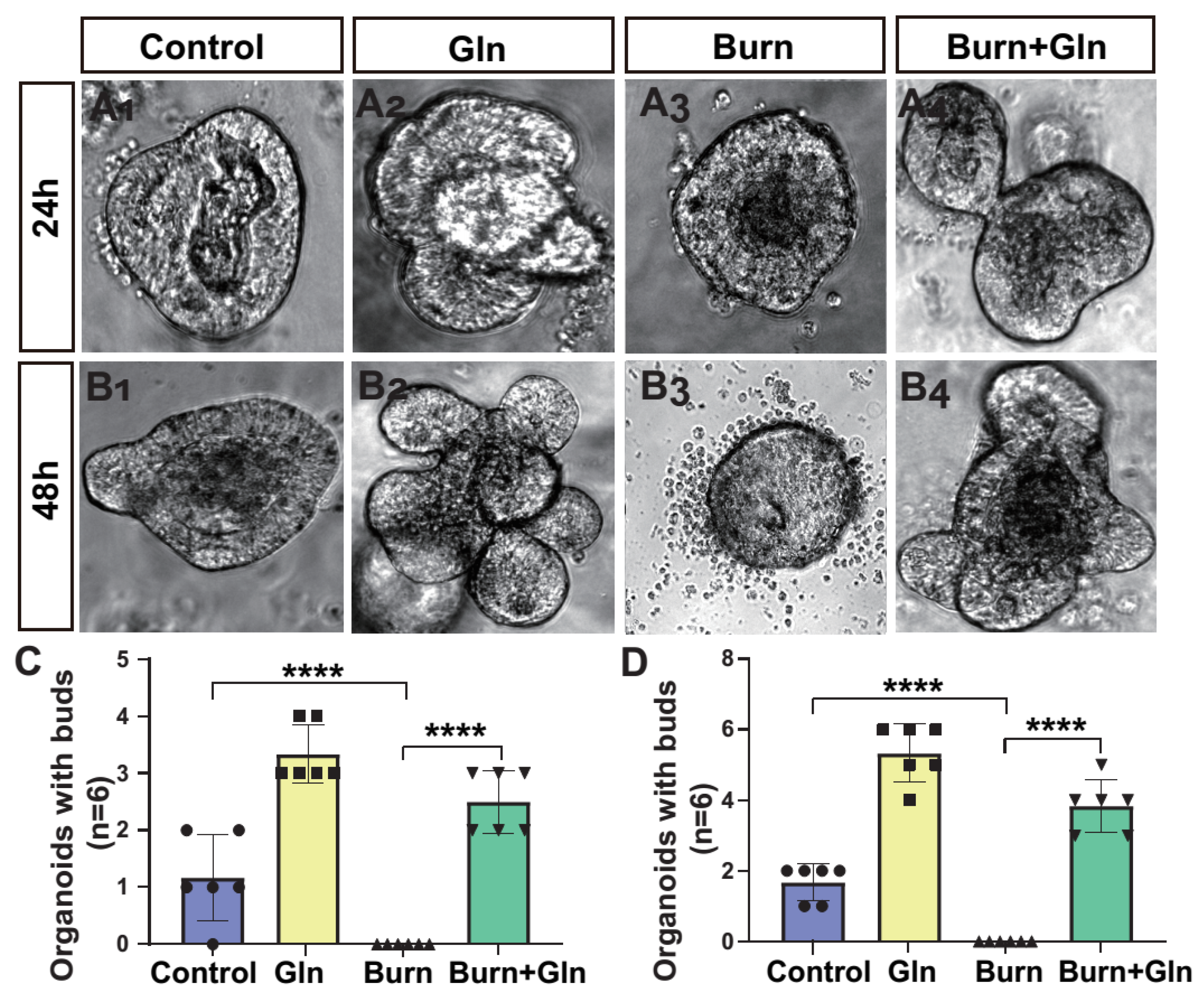Nutrients 15 01766 g002
