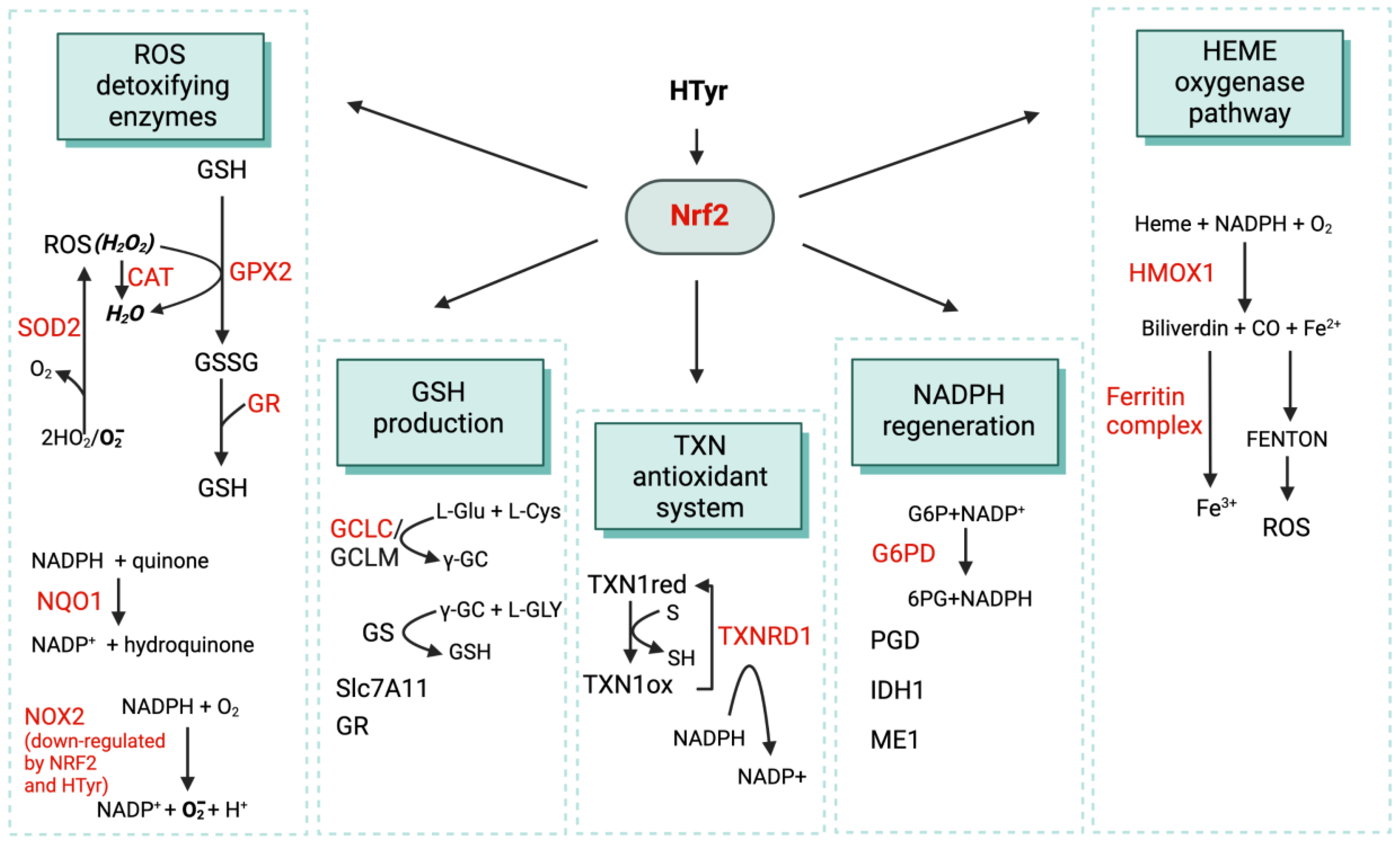 Nutrients 15 01767 g004 Nutrients 15 01767 g004