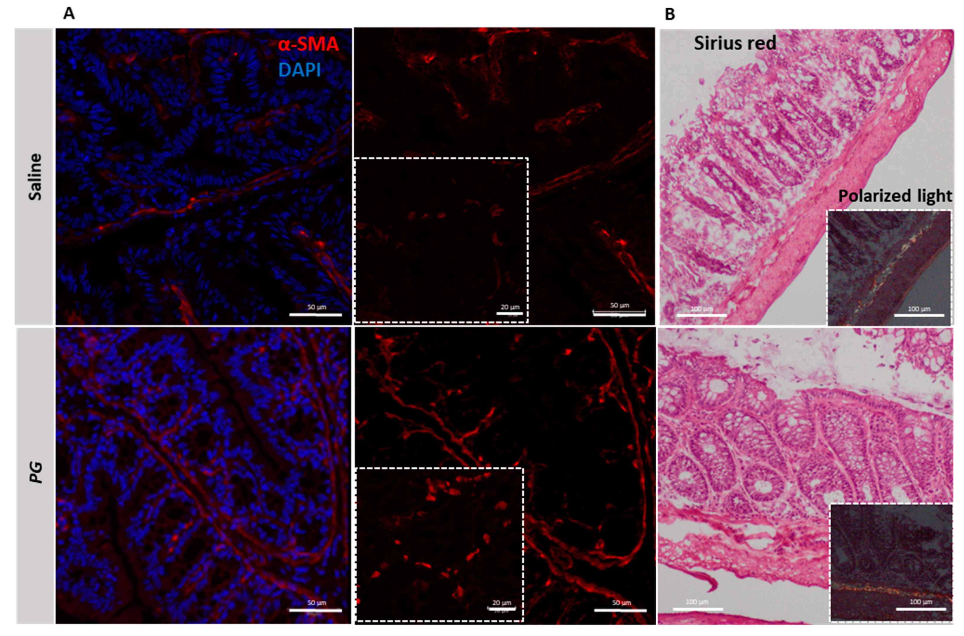 Nutrients 15 01771 g005 Nutrients 15 01771 g005