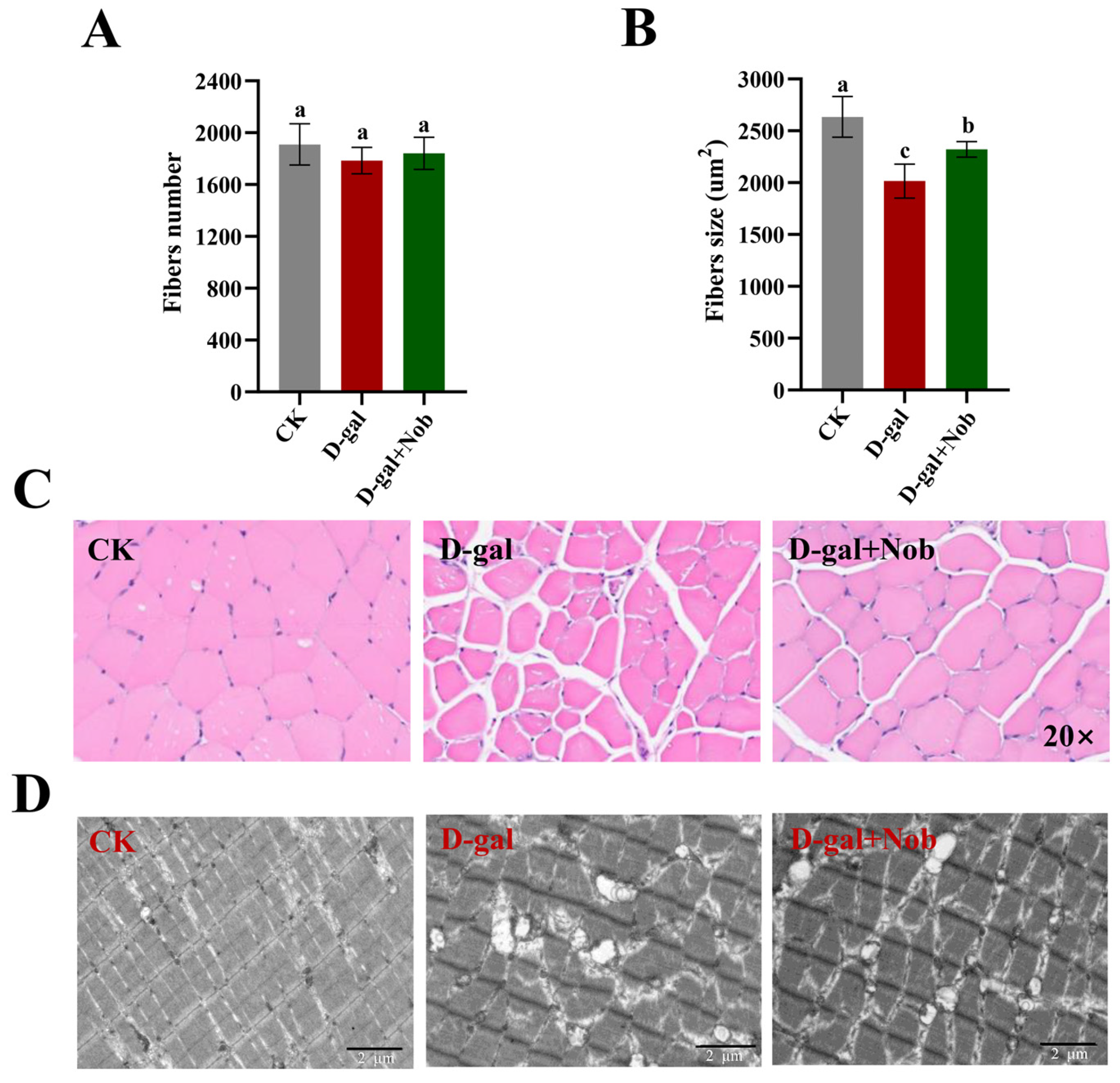 Nutrients 15 01801 g002