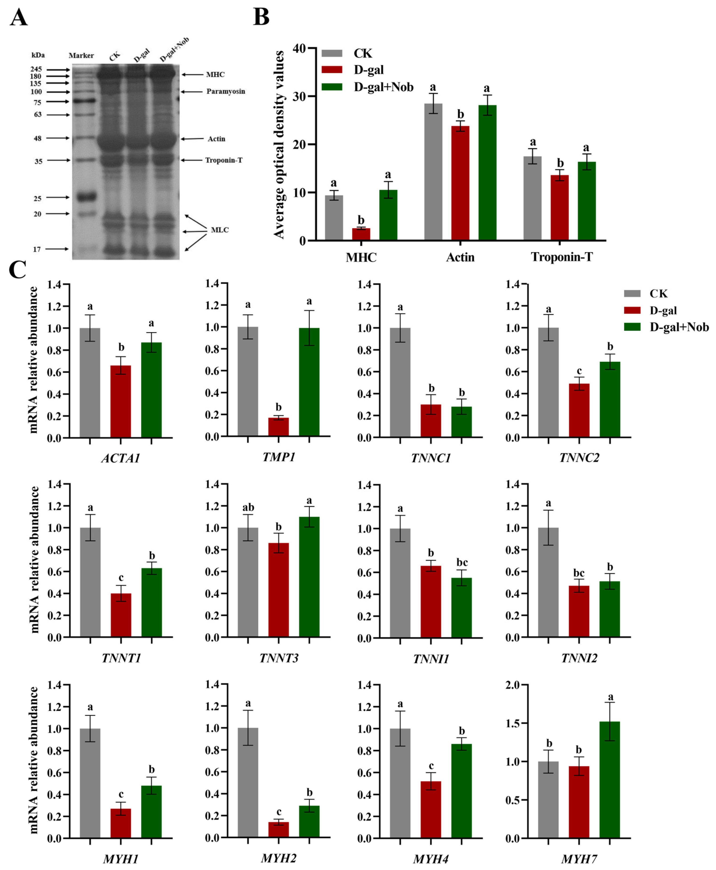 Nutrients 15 01801 g003