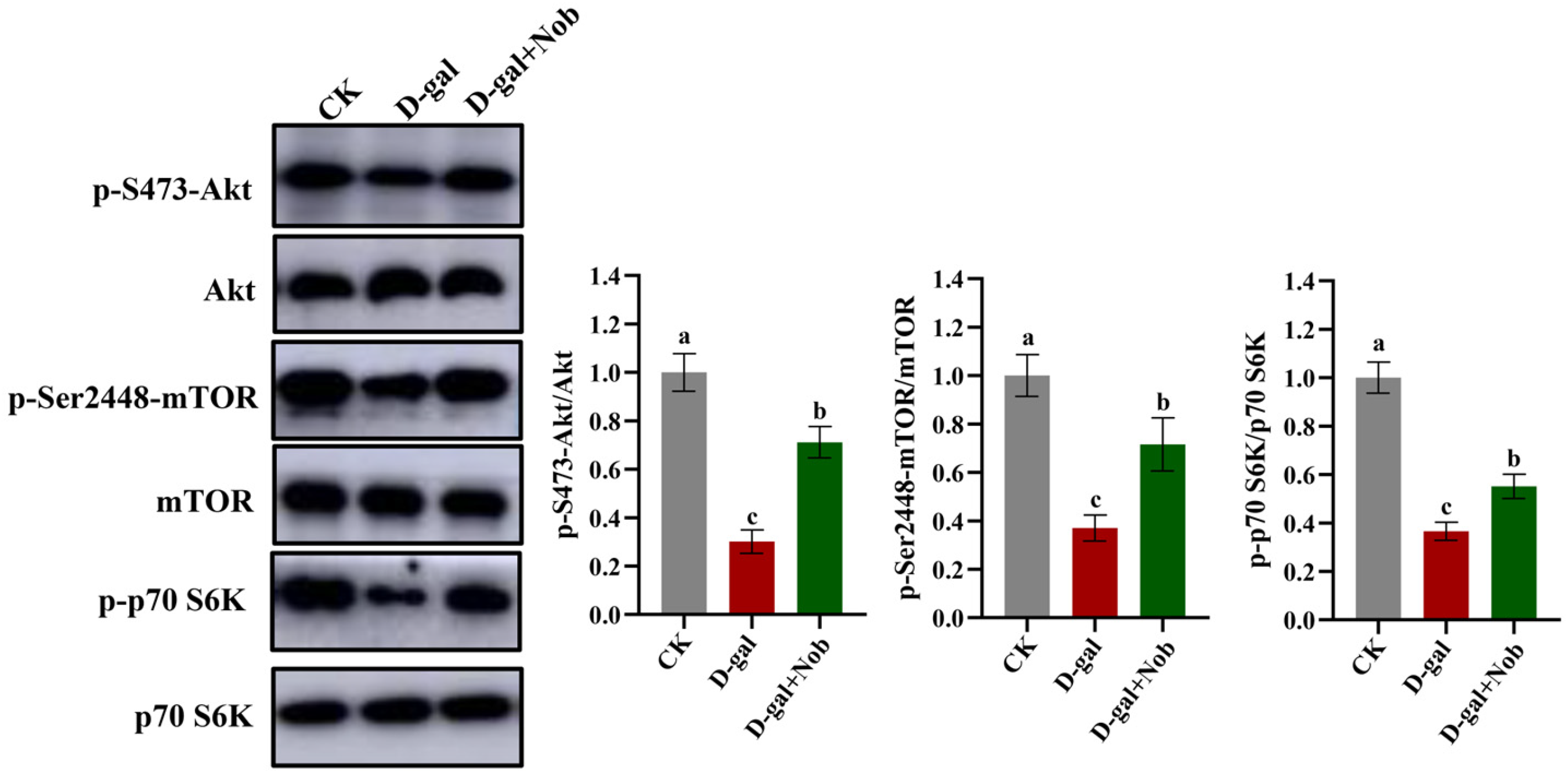 Nutrients 15 01801 g004