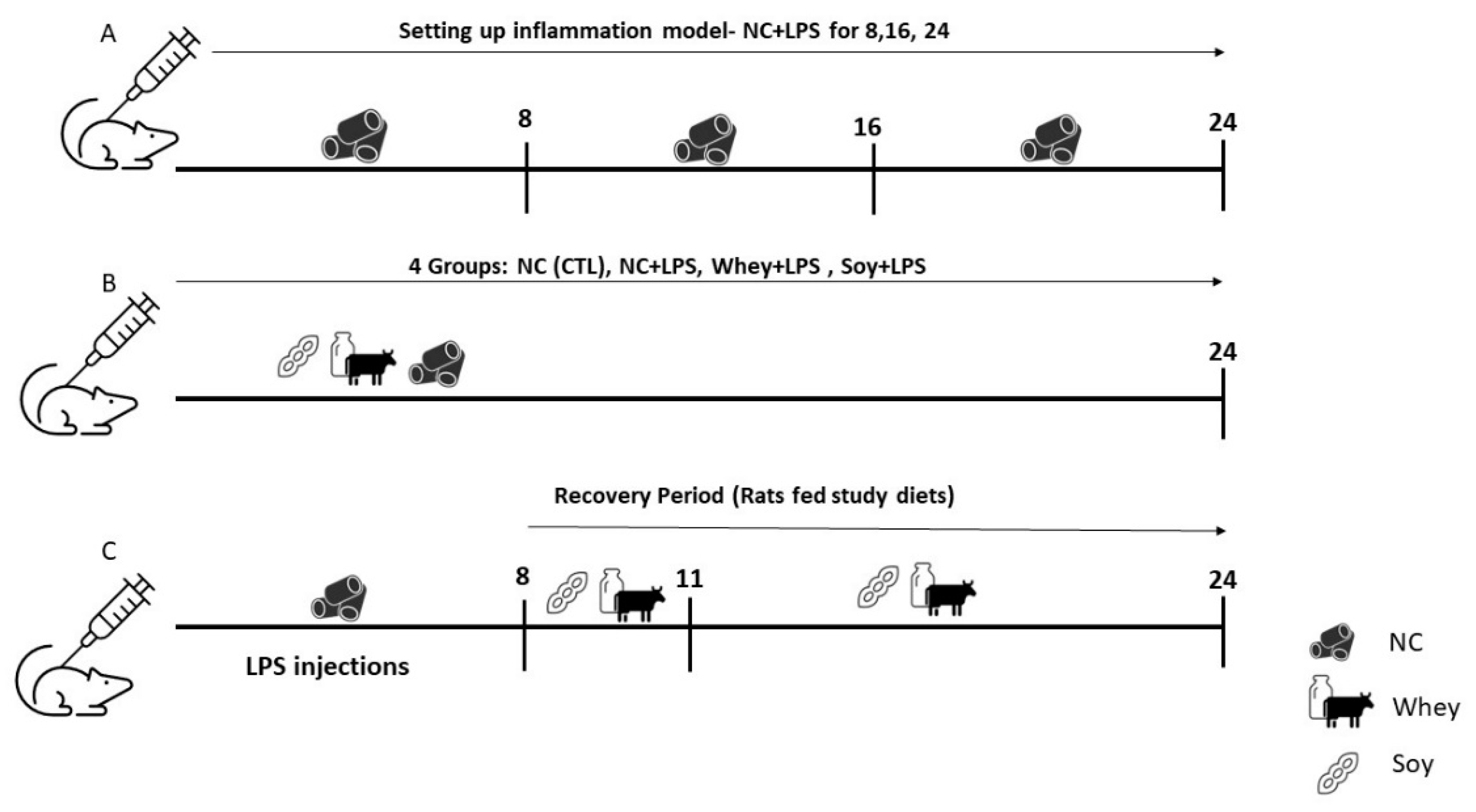 Nutrients 15 01823 g001