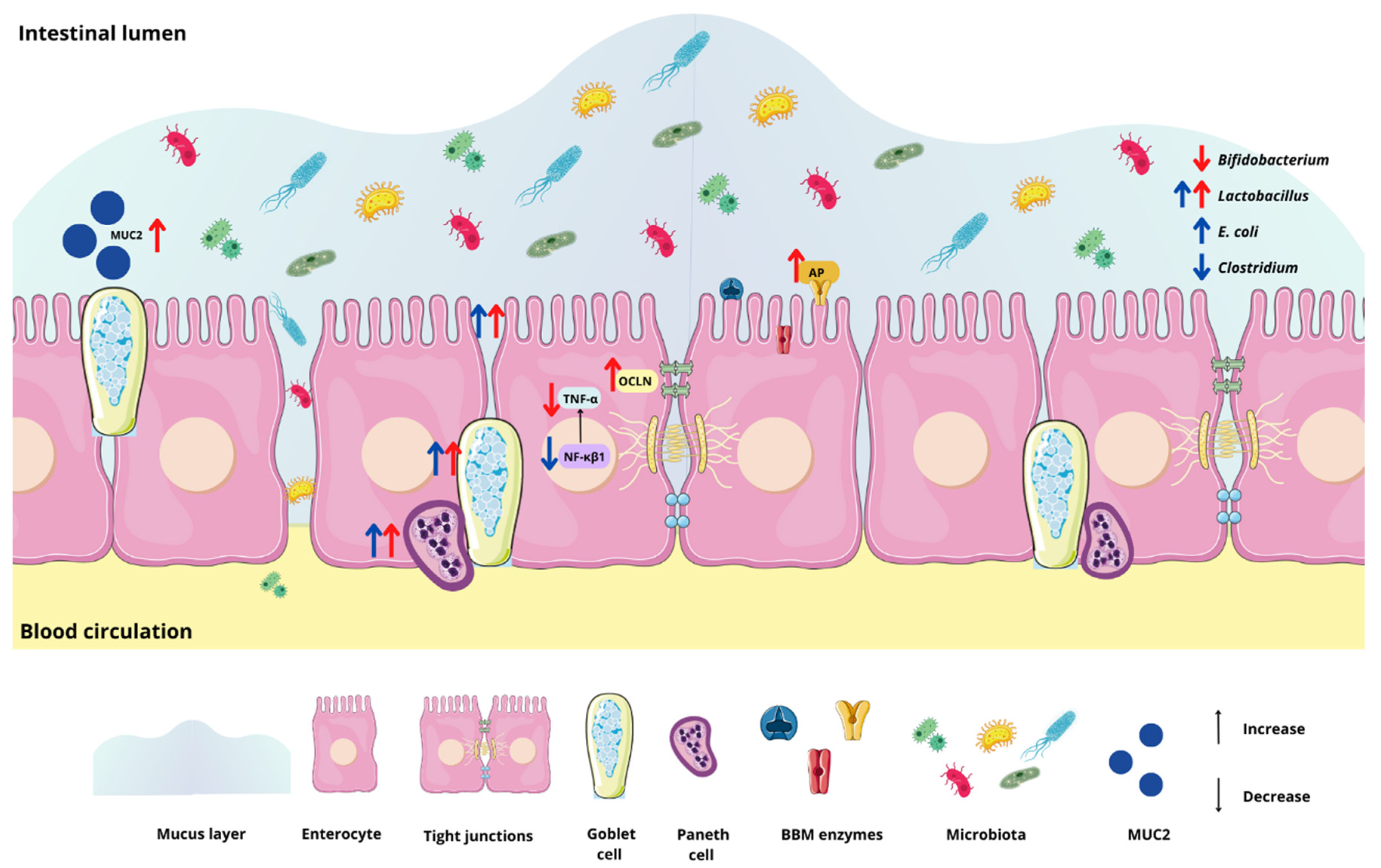 Nutrients 15 01831 g006
