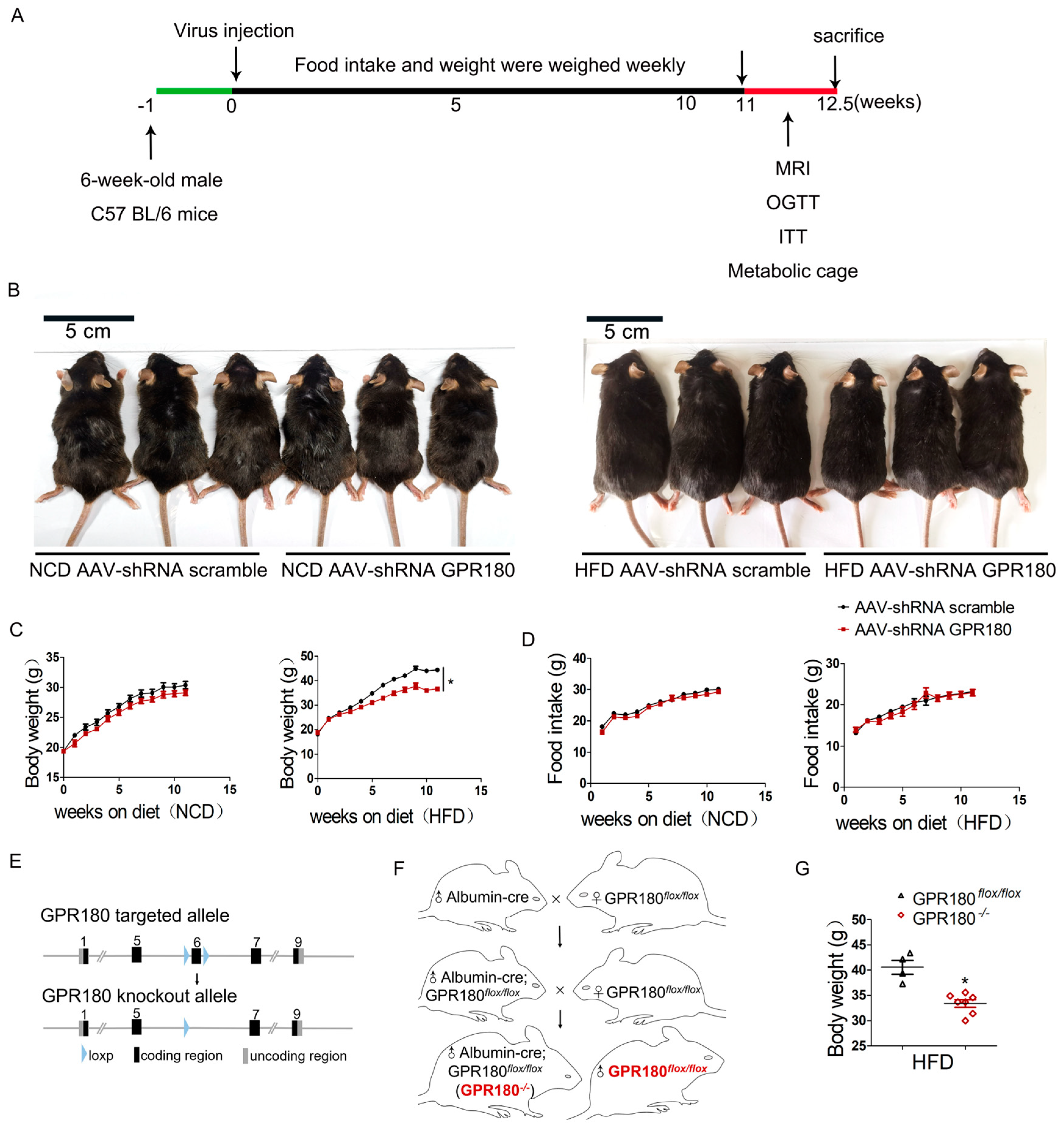Nutrients 15 01838 g002