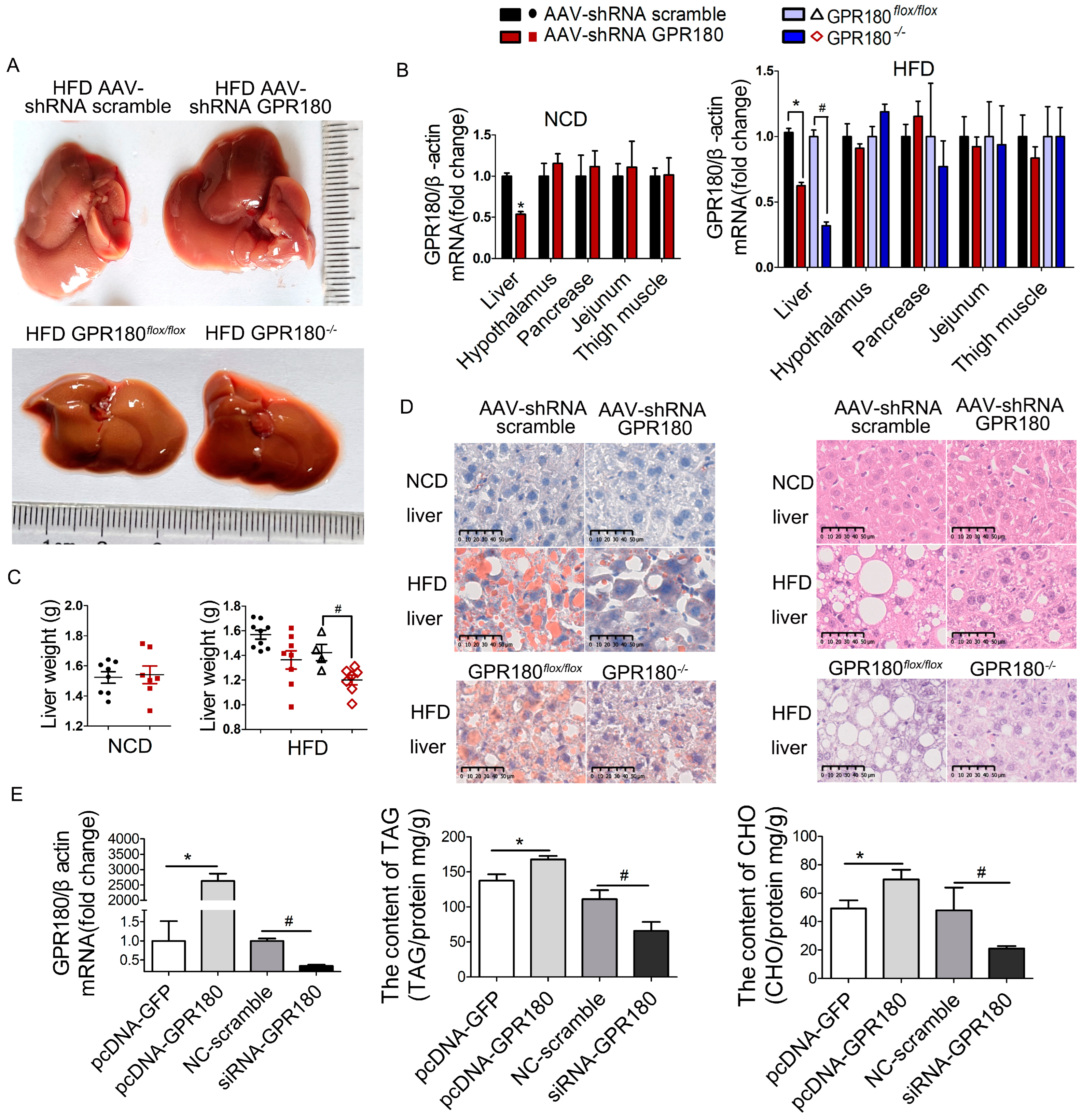 Nutrients 15 01838 g006