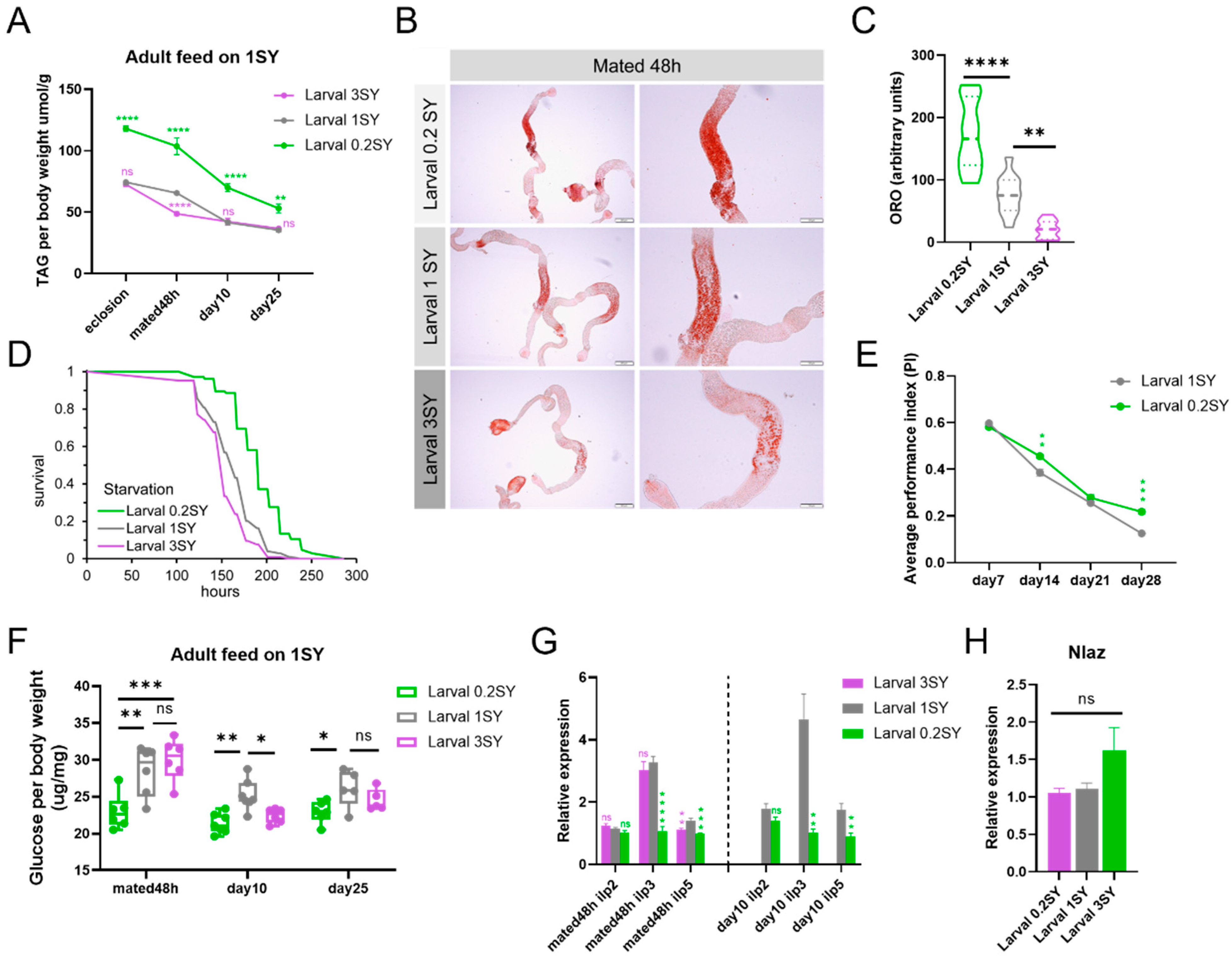 Nutrients 15 01840 g003 Nutrients 15 01840 g003