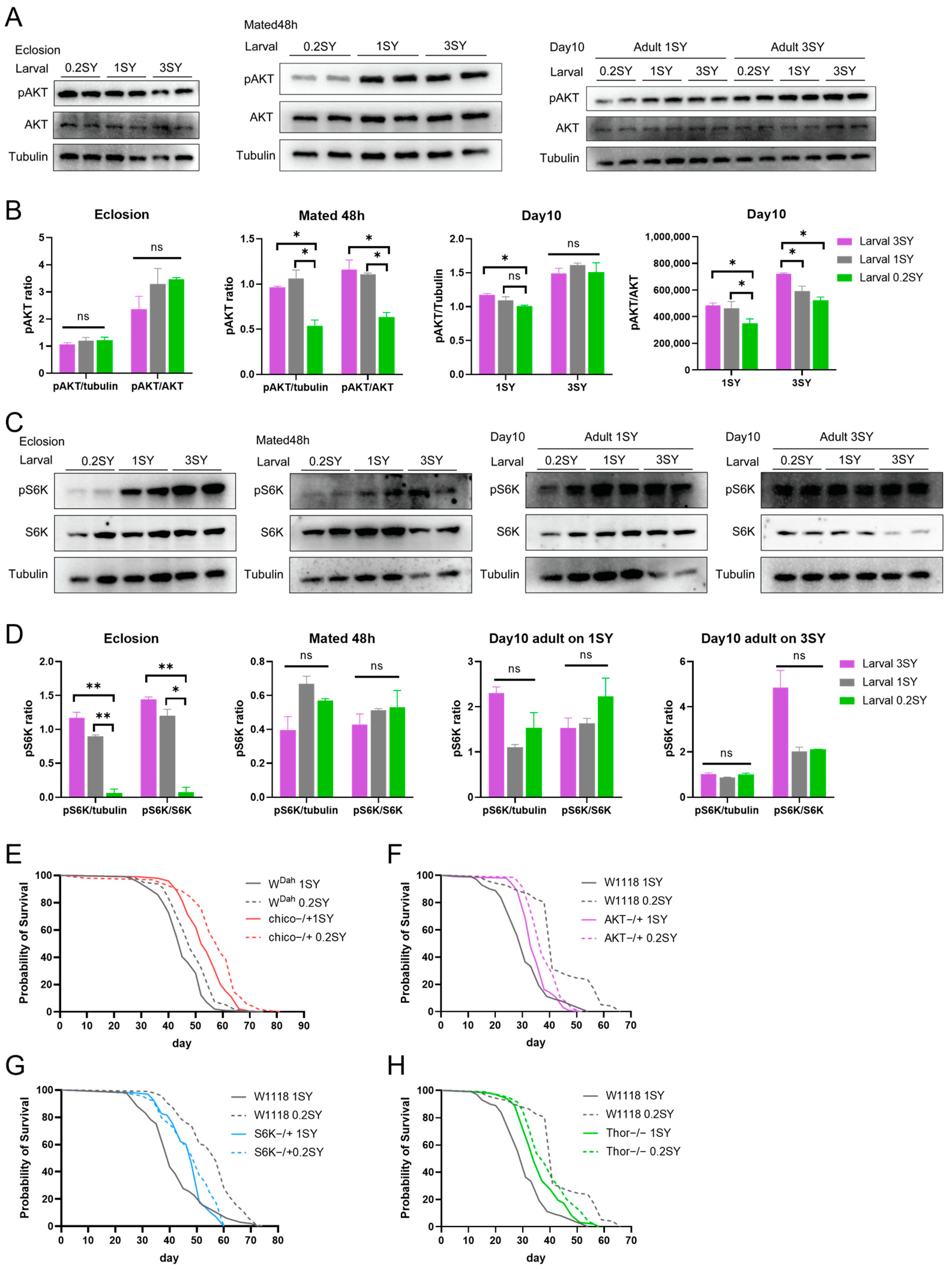 Nutrients 15 01840 g004 Nutrients 15 01840 g004