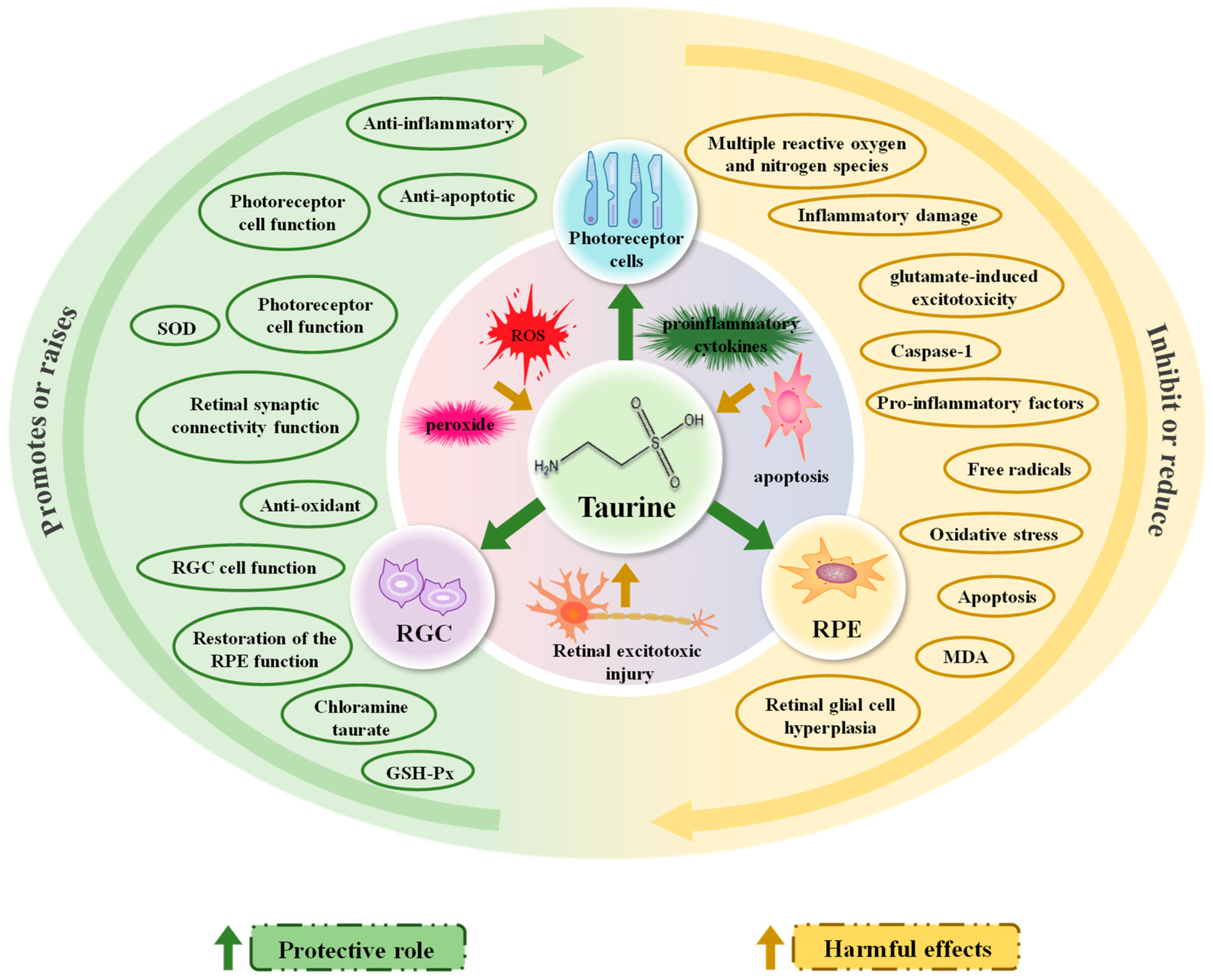 Nutrients 15 01843 g003 Nutrients 15 01843 g003