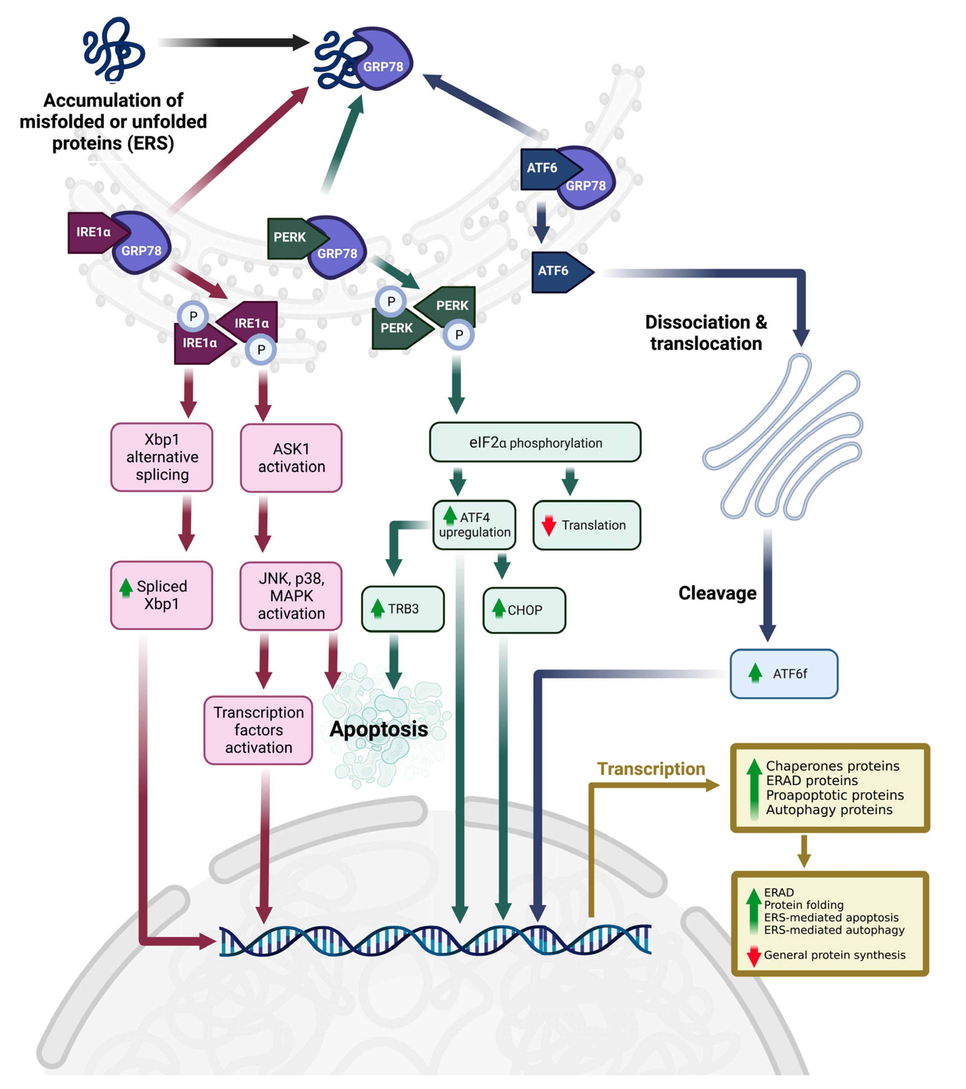 Nutrients 15 01854 g001 Nutrients 15 01854 g001