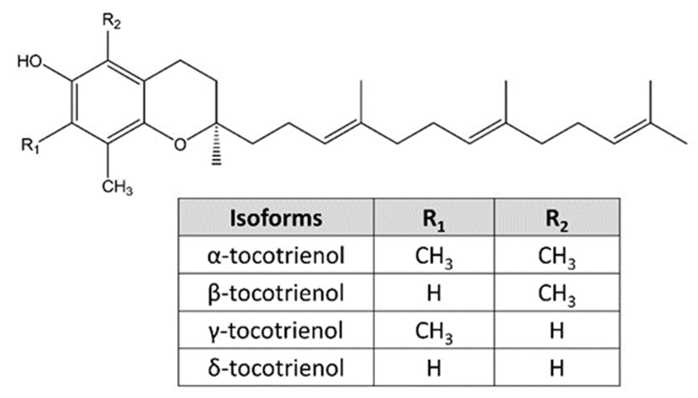 Nutrients 15 01854 g002 Nutrients 15 01854 g002
