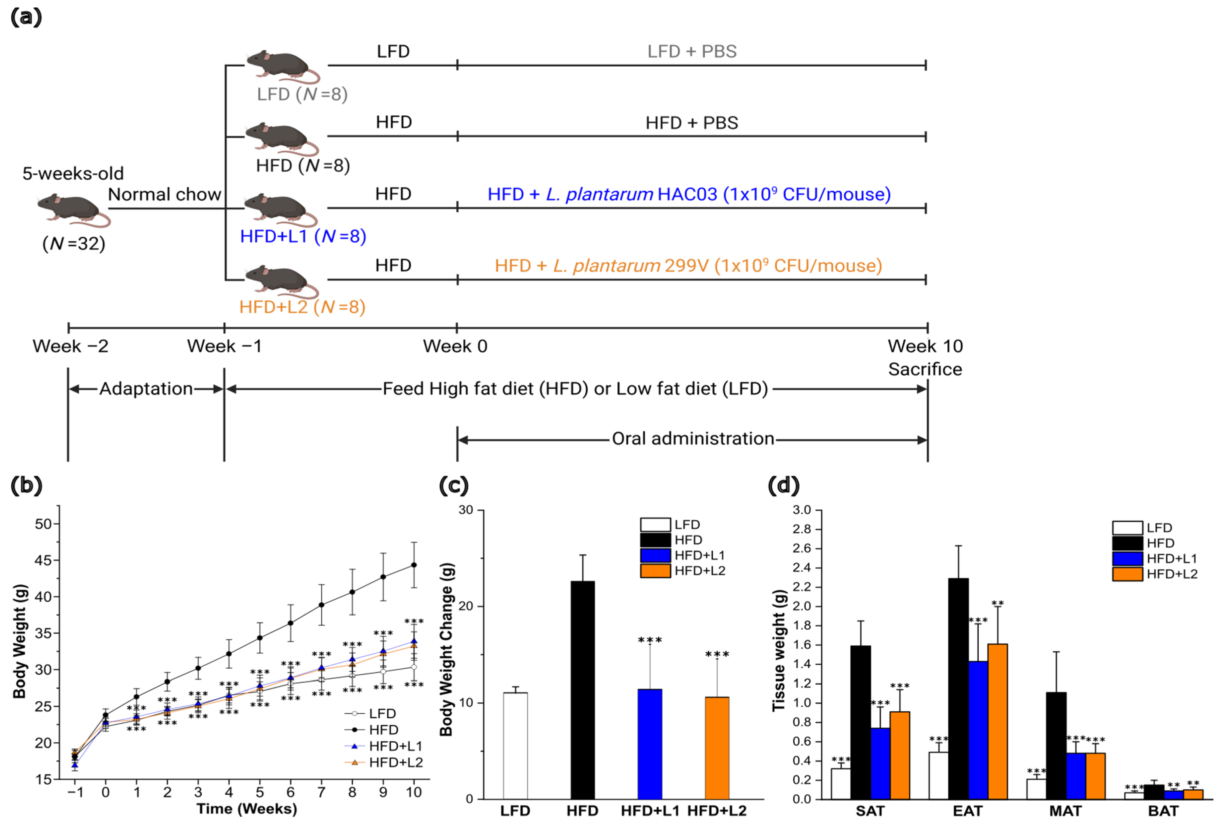 Nutrients 15 01859 g001