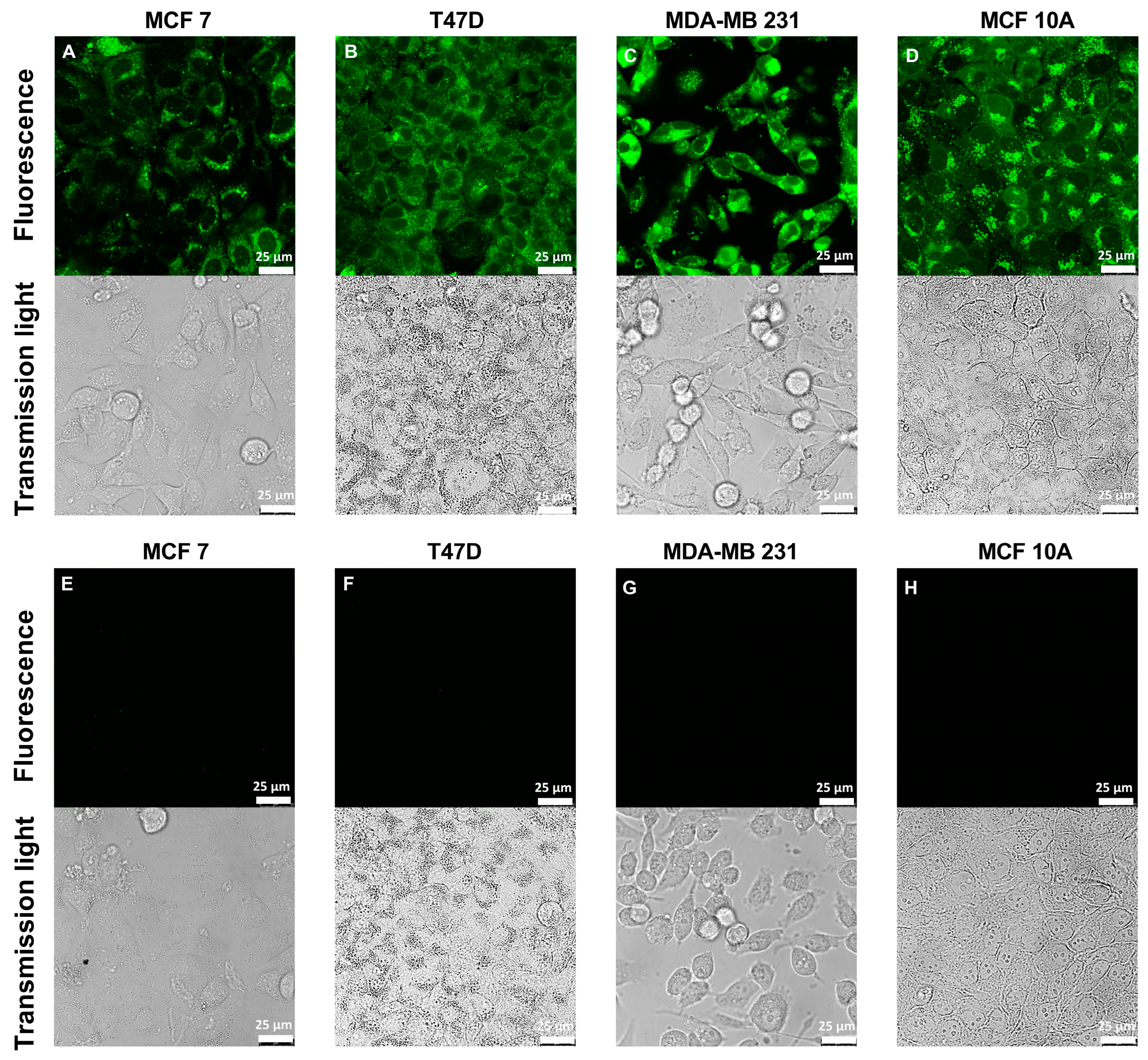 Nutrients 15 01873 g008 Nutrients 15 01873 g008