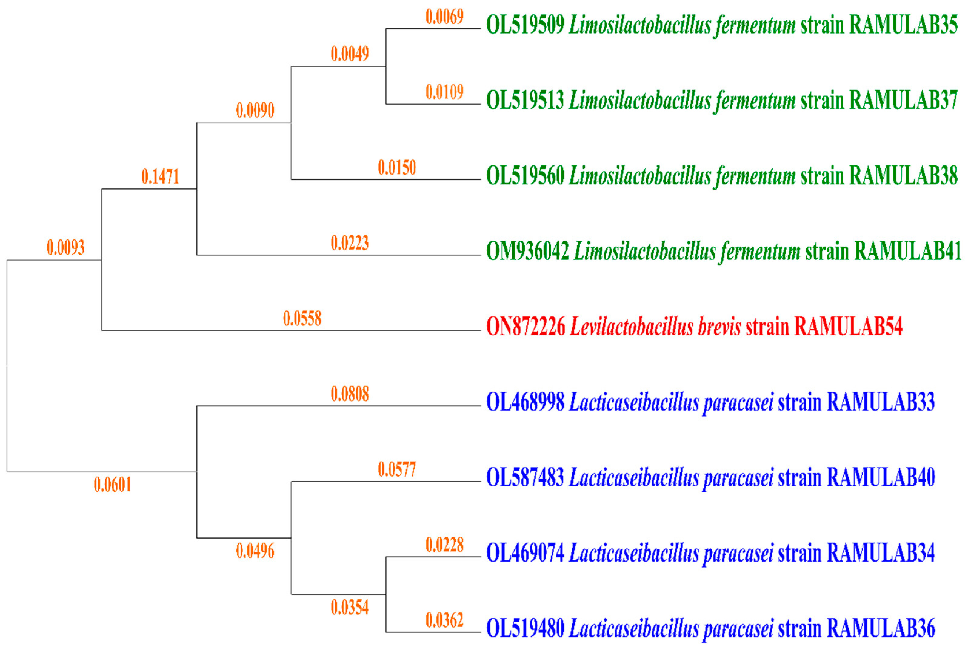 Nutrients 15 01882 g001