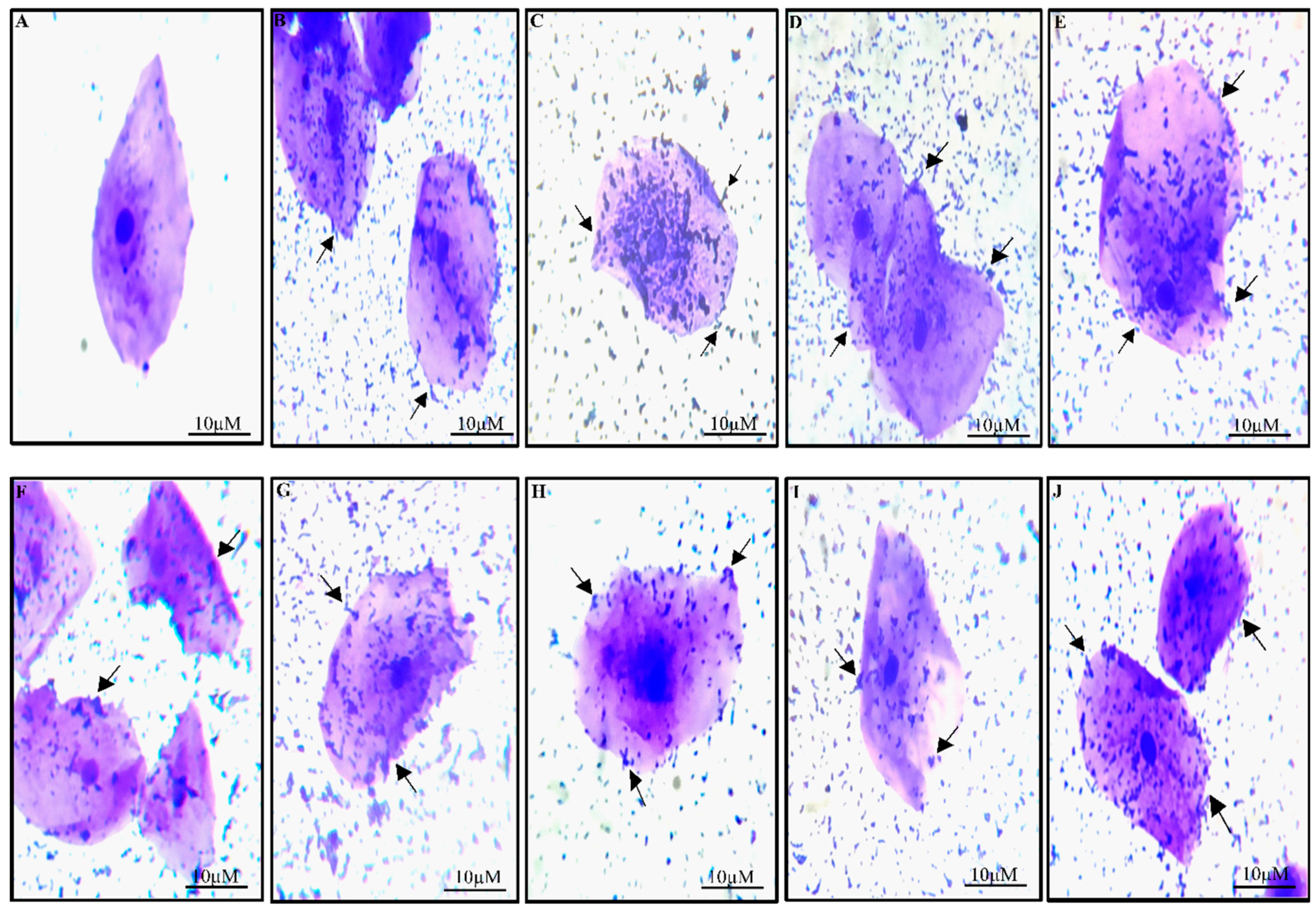 Nutrients 15 01882 g003
