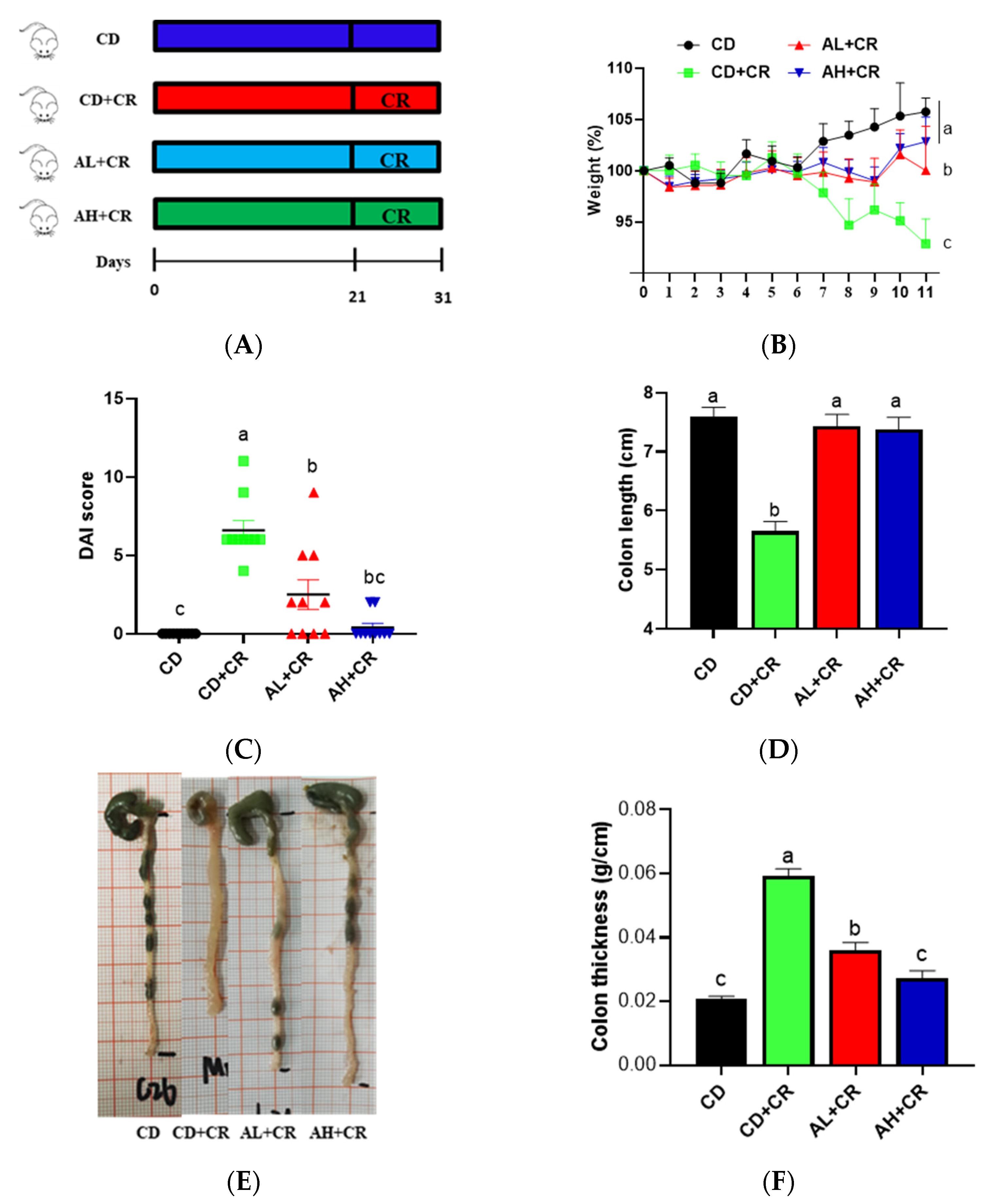 Nutrients 15 01890 g006 Nutrients 15 01890 g006
