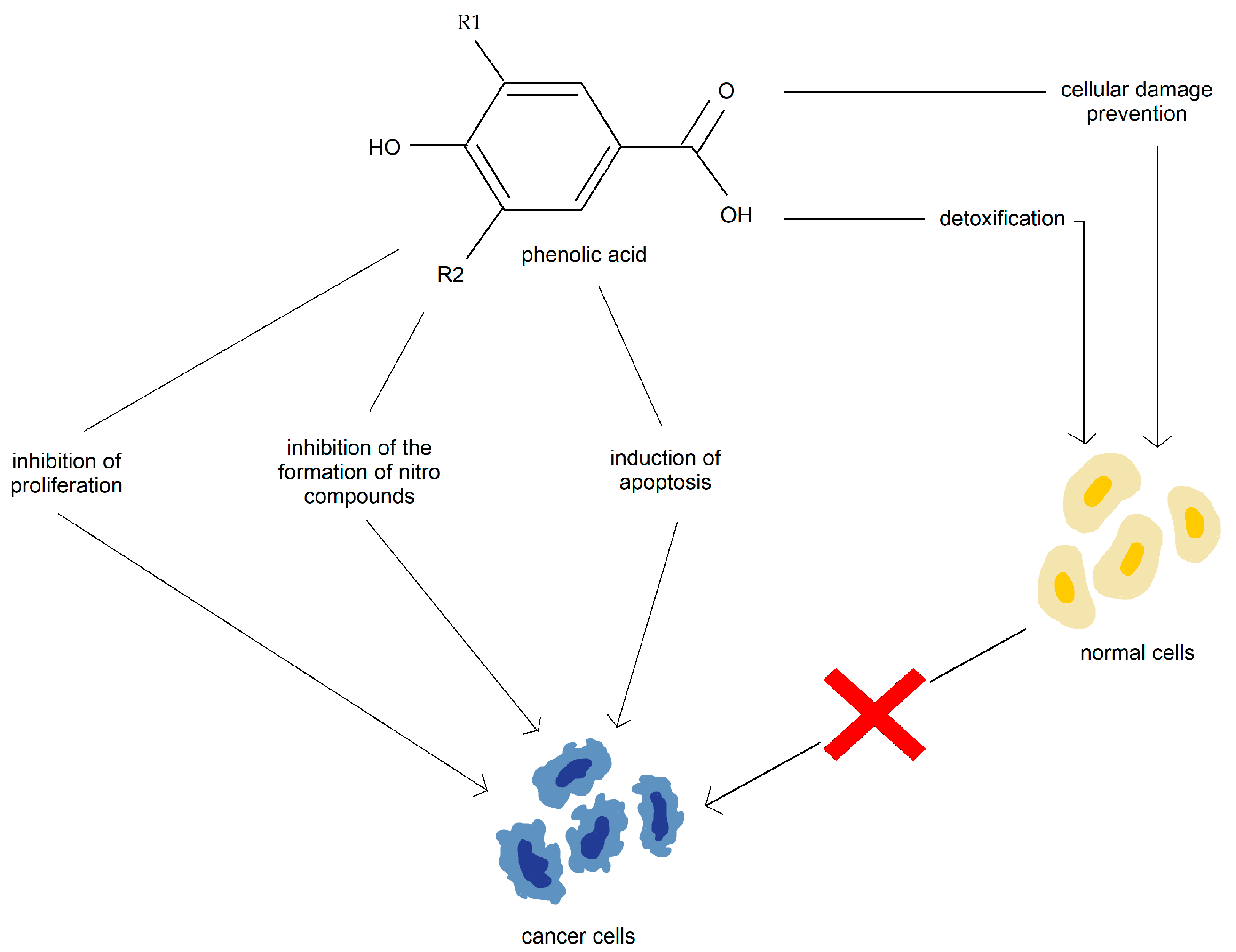 Nutrients 15 01896 g007 Nutrients 15 01896 g007